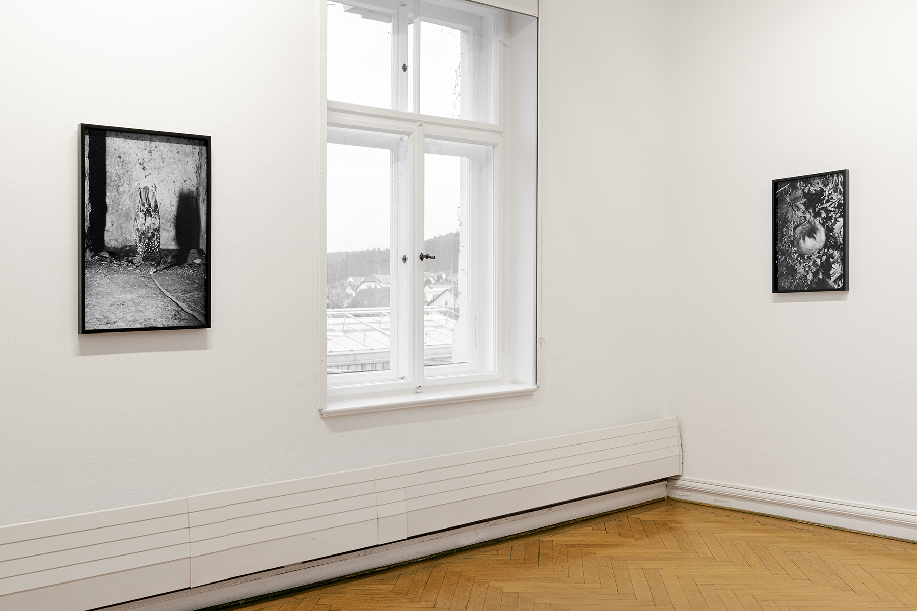 From left to right: Chance and Effect (2019), 75 x 50 cm, Making a Home (2019), 60 x 40 cm, both archival inkjet prints on baryta, mounted in lime wood frames.