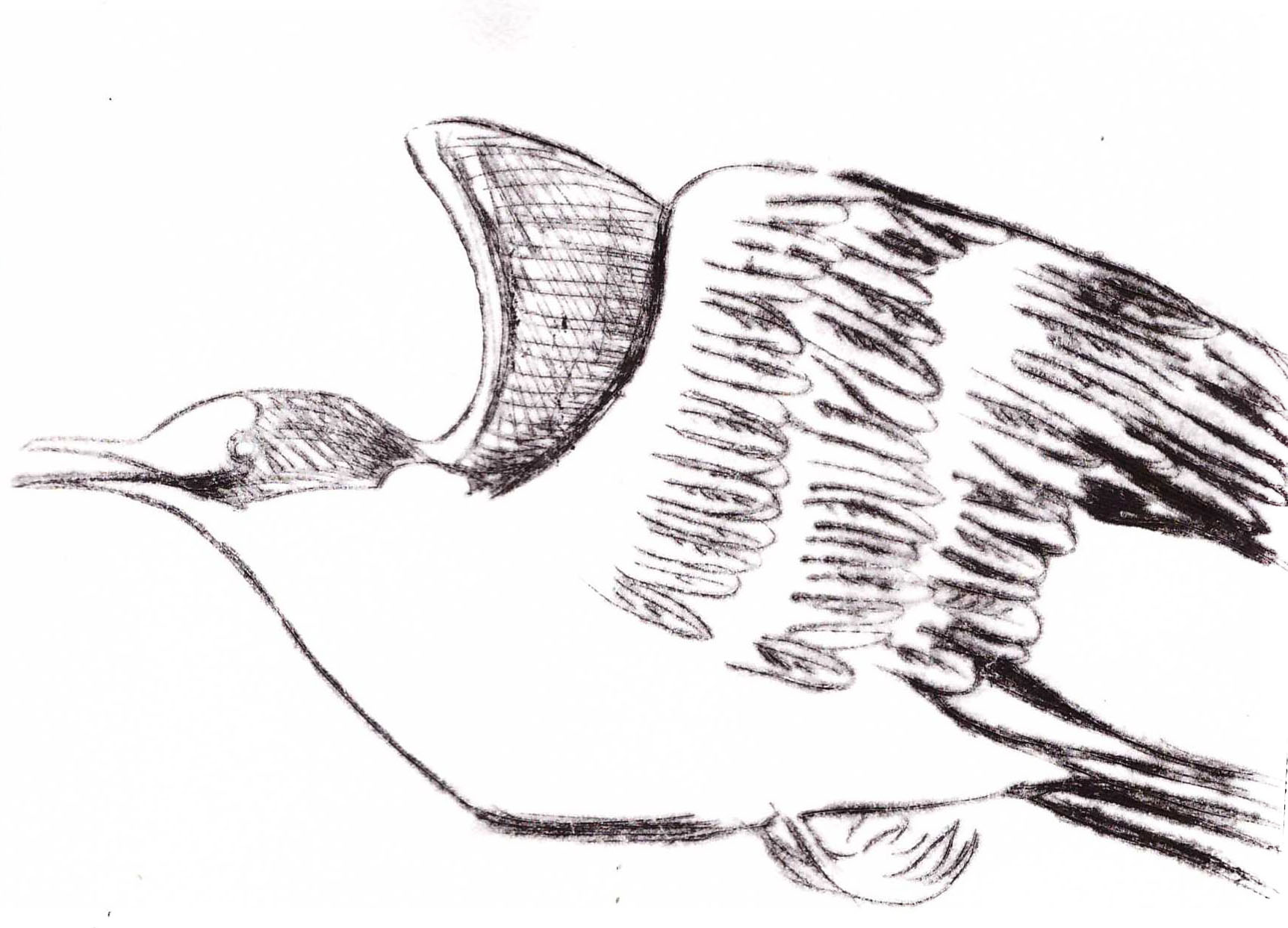 Vers la mer ,gravure pointe sèche, 15x11 cm