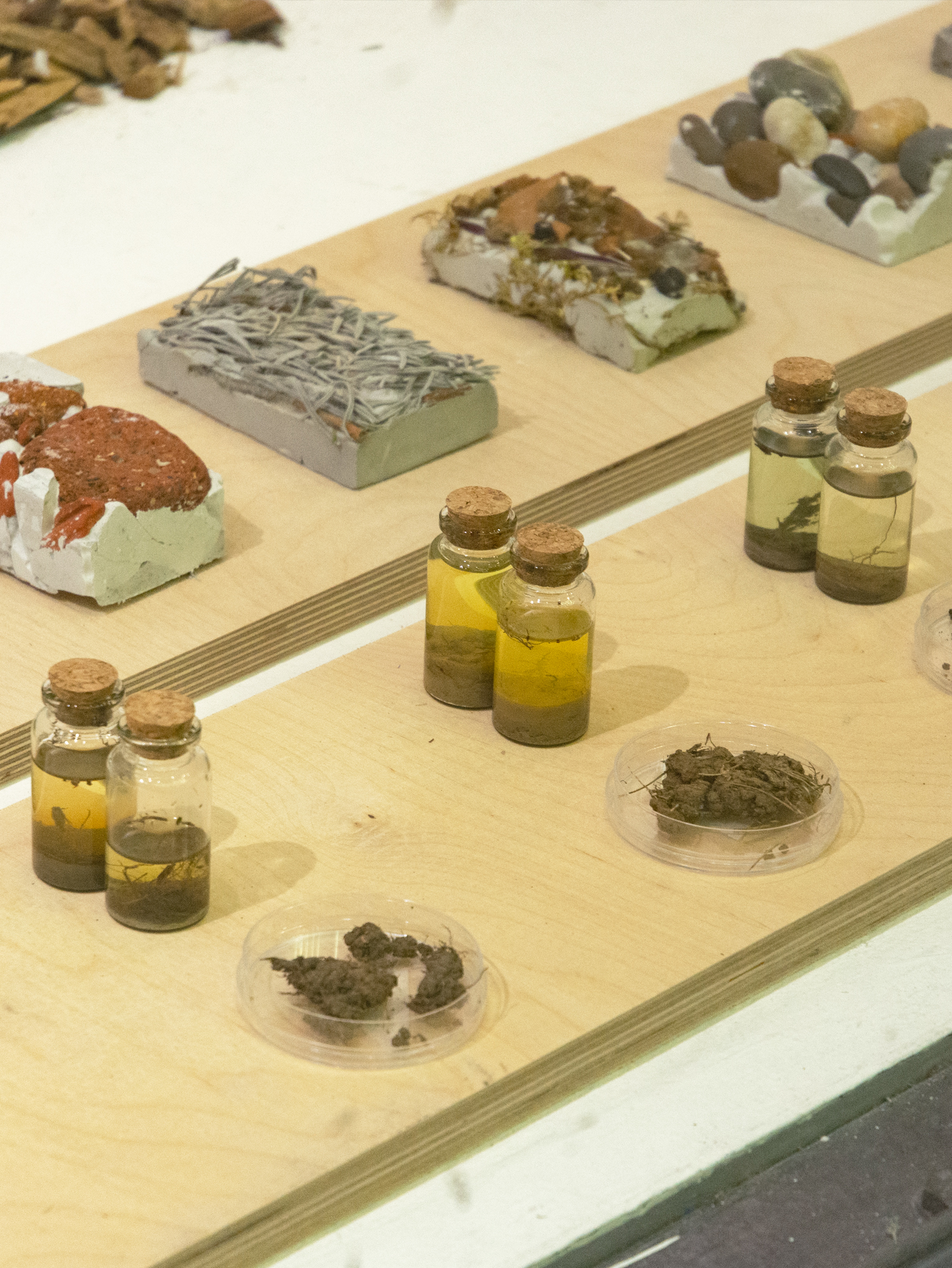 LEARNING FROM THE FRINGE 