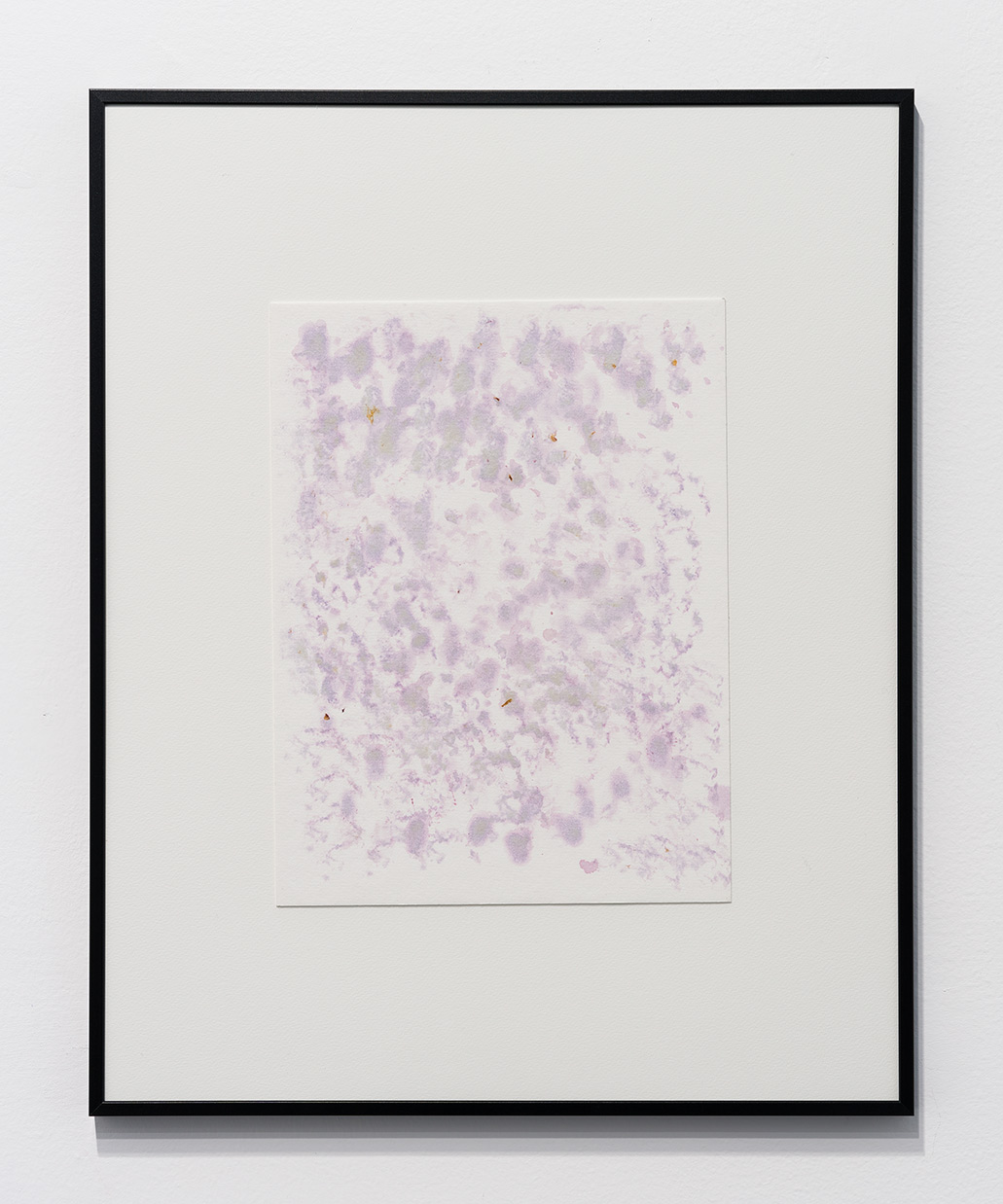 Cherry Blood, 2023, cherry pigment on paper, 20 x 16 in. (50.8 x 40.6 cm.) 