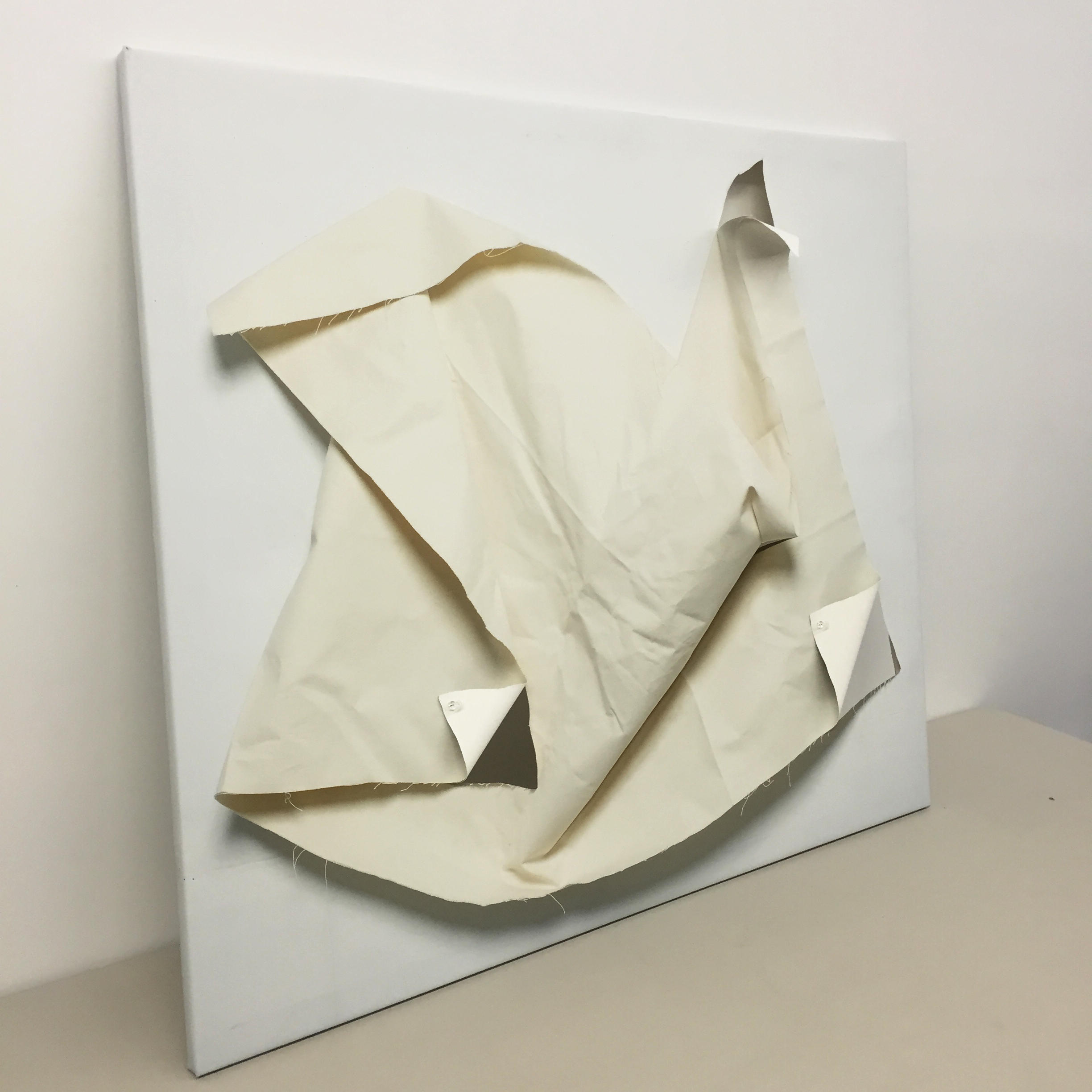 "Ouroboros 2"40"x50" inkjet printed canvas on stretcher, pins