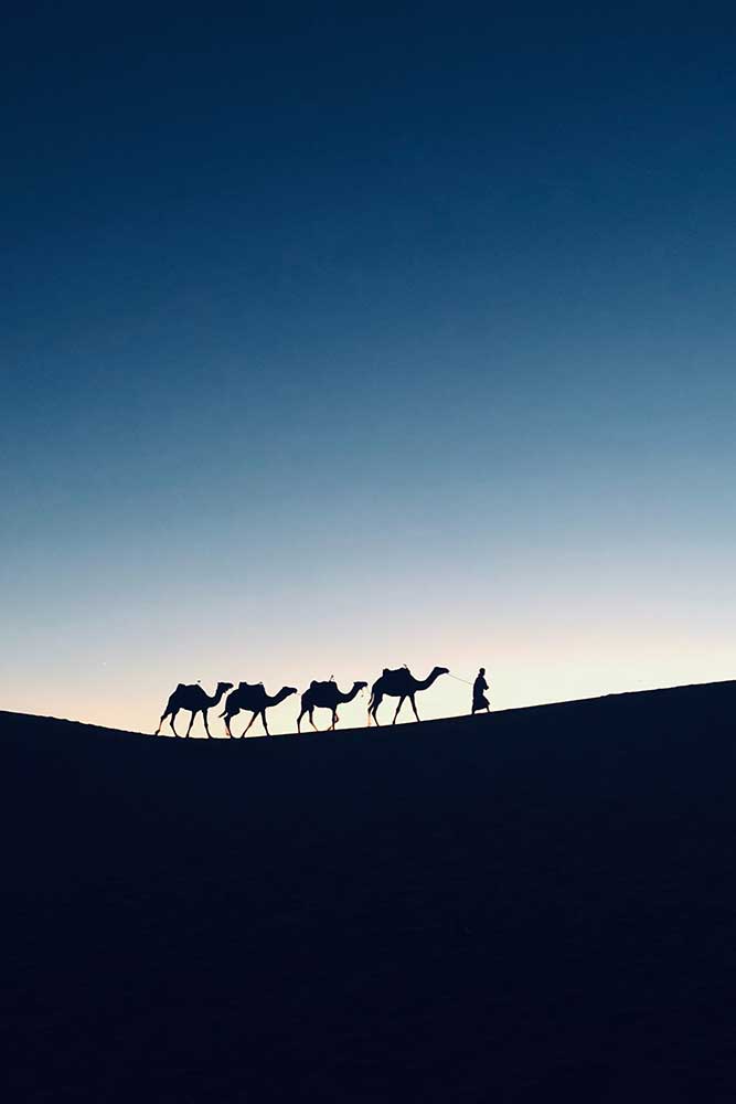 original image by Bernice Tong