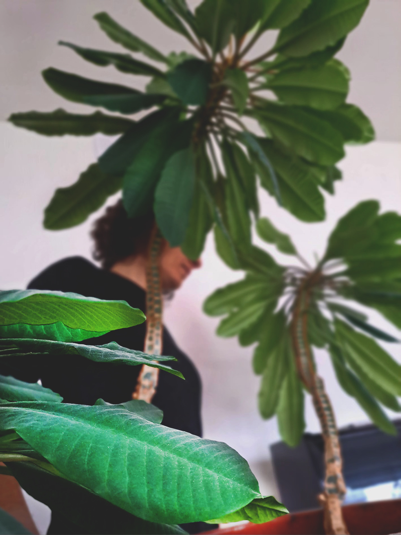 Zwischen Sein und Wachsen, umgeben von ihrem eigenen kleinen Dschungel.