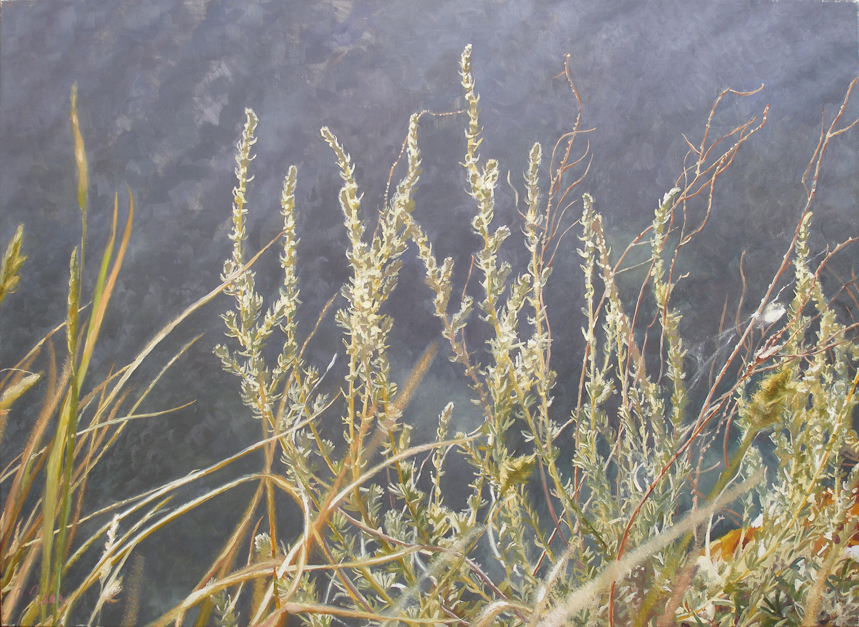 "Crimea's herbs", 2014, oil on canvas, 80 x 110 cm