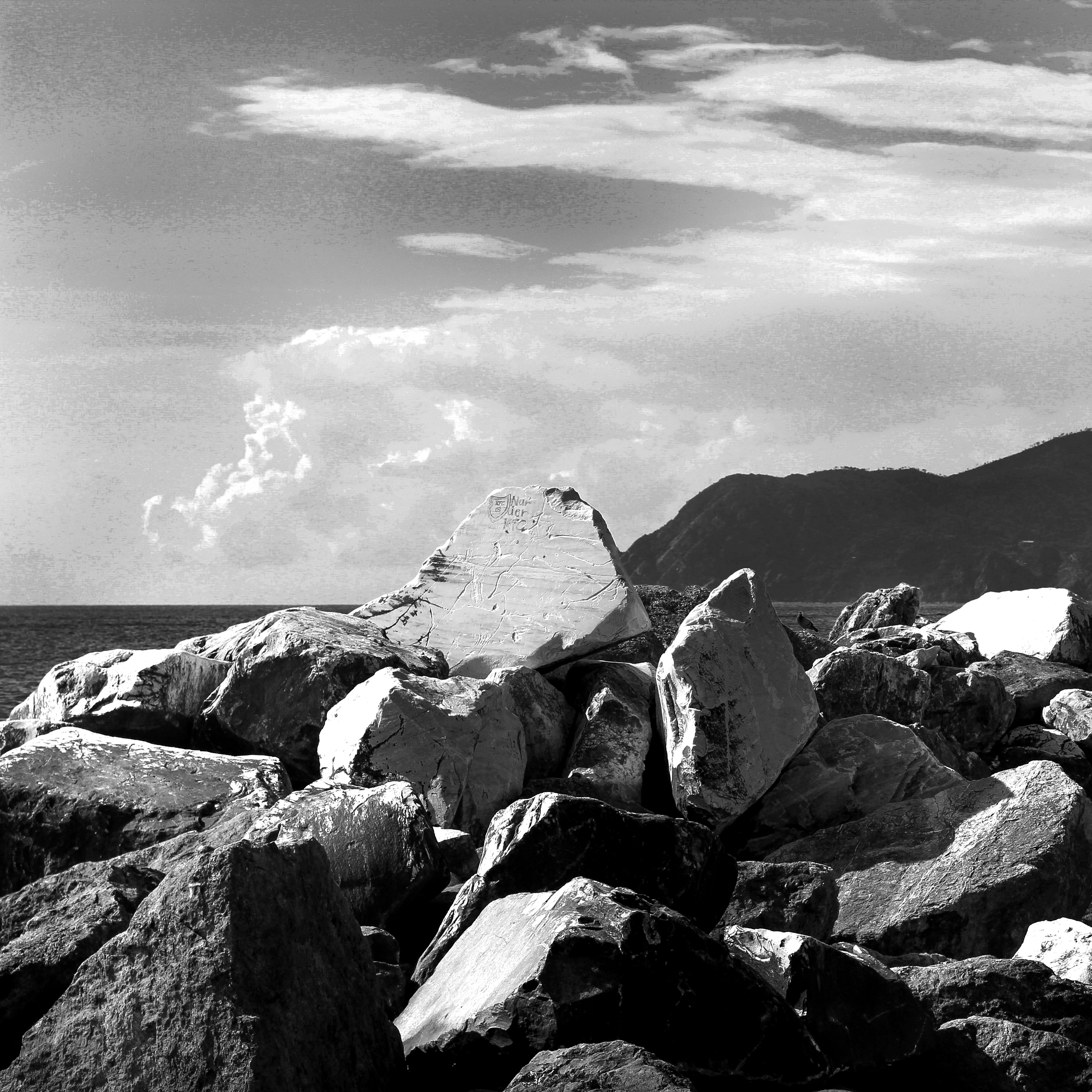 HOMMAGE TO AMSEL ADAMS