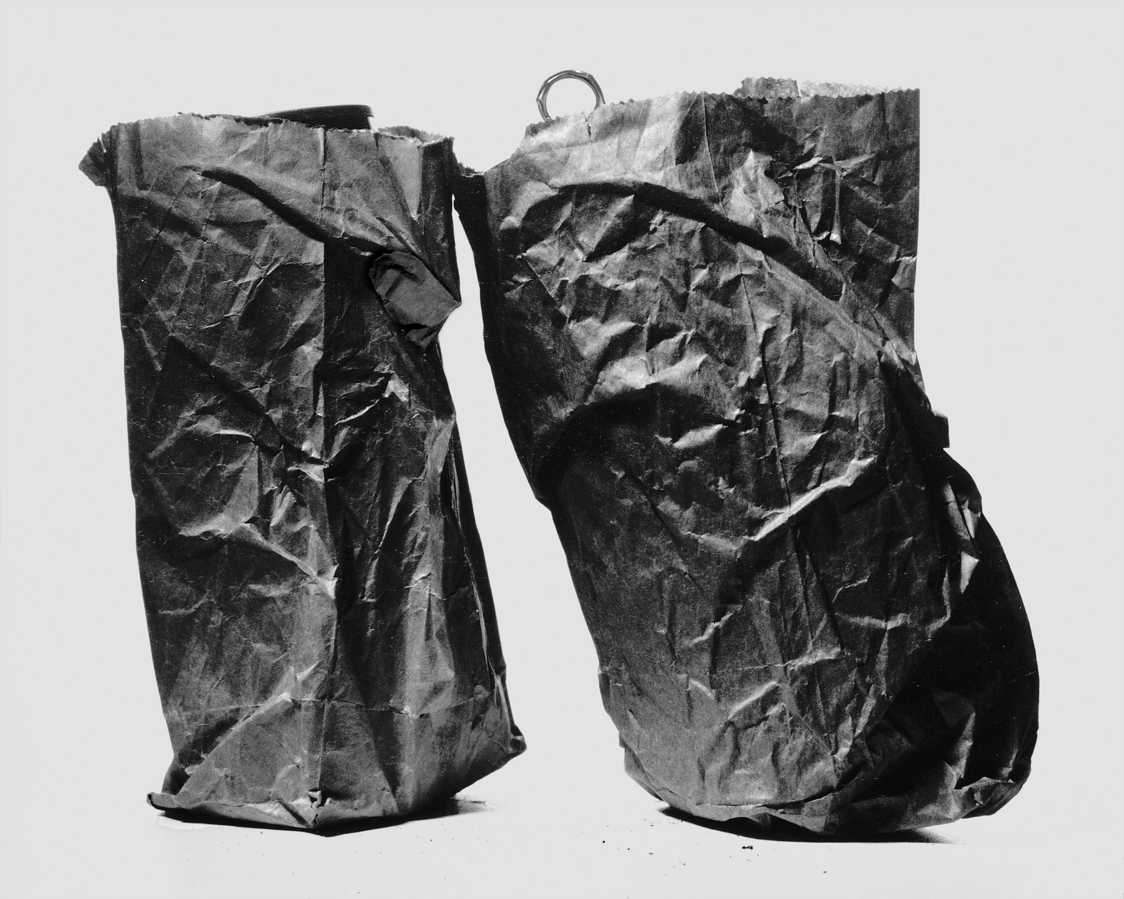 American Still Life, 1994 _1/20**