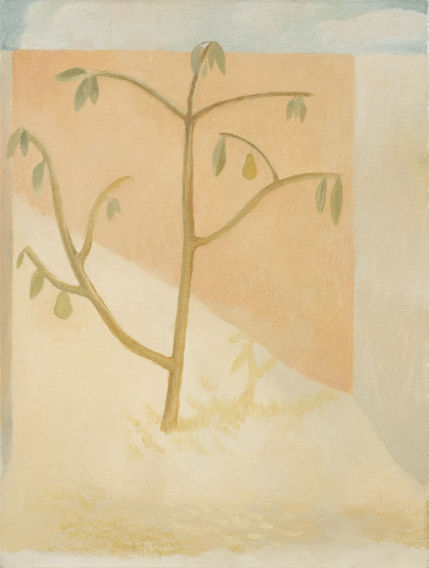 "Quintal", 2020, óleo sobre tela