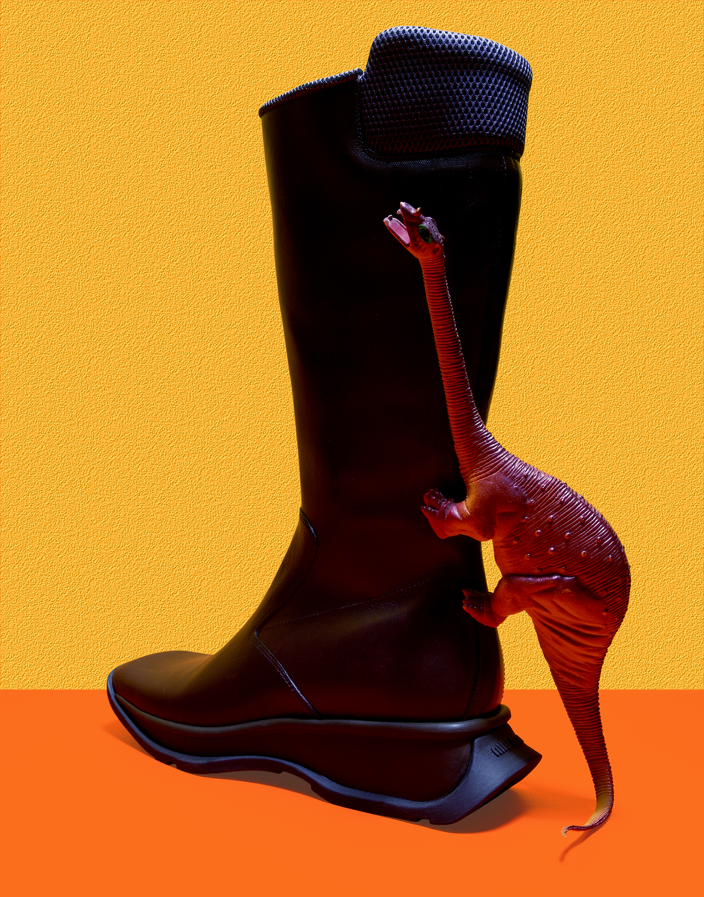 Biba, 1999Creative Director:Anistasia Barbieri1/2