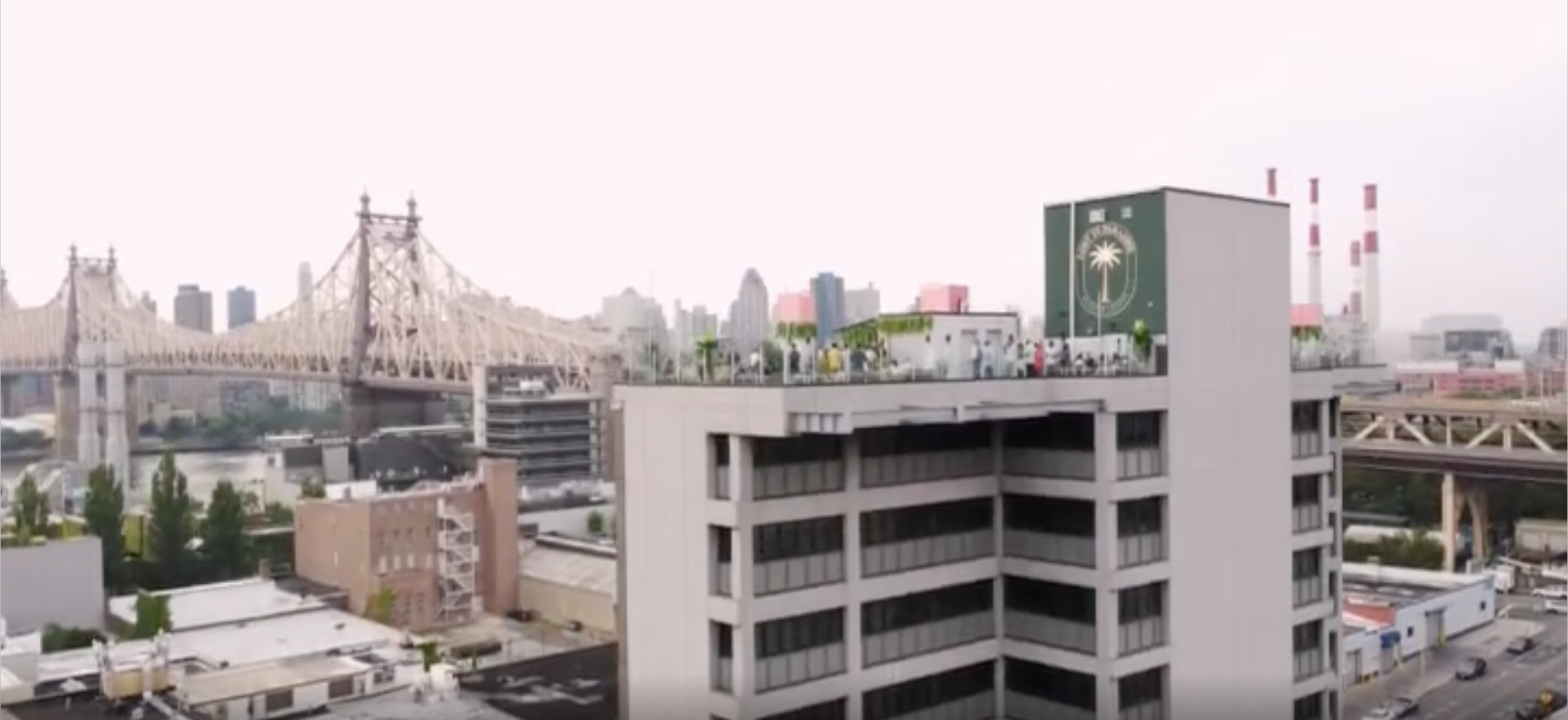 Lost In Paradise Rooftop View