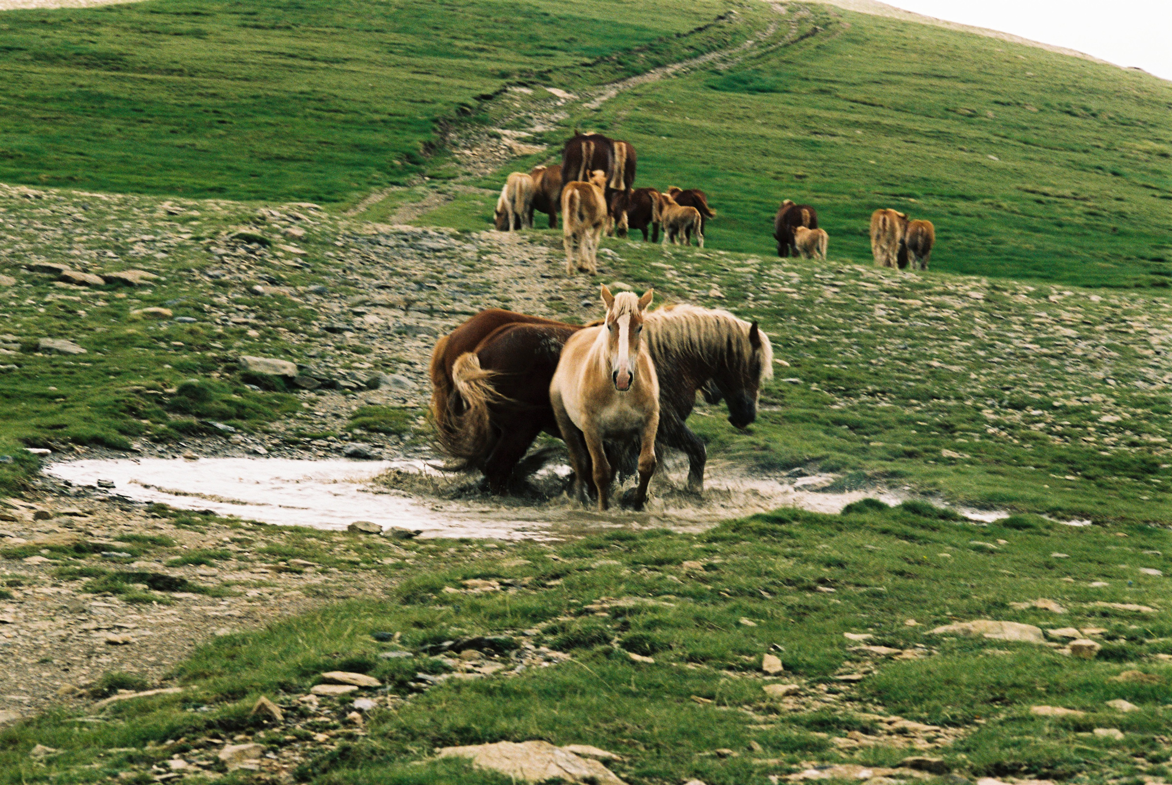 Story for Eldoradoexperience 