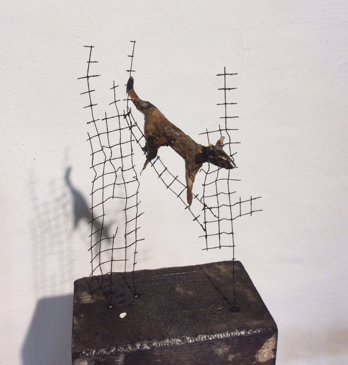 Dier op hek, verbrand hout, gaas en papier, 2019