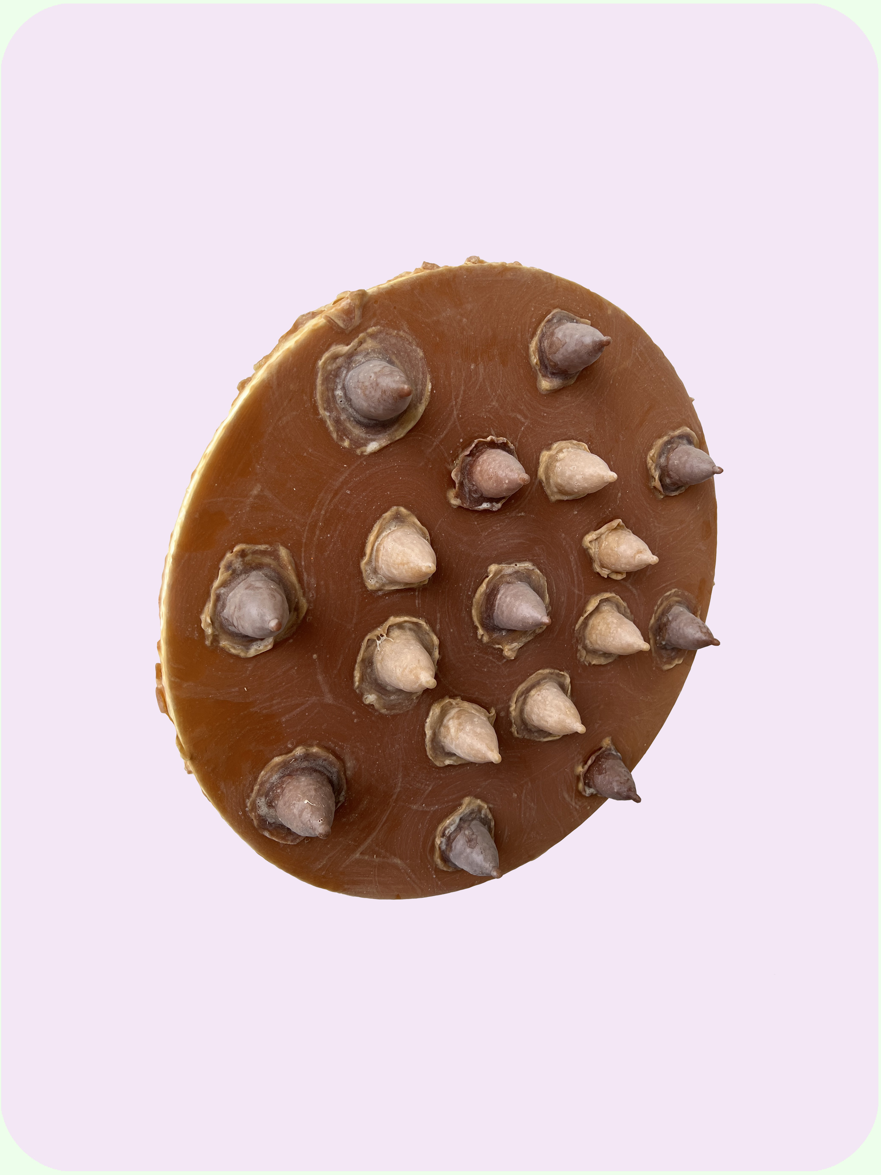 bleeding  (average  cup  size  7.9 x 7.6 x 9.1cm, 61cm)  [latex on canvas]