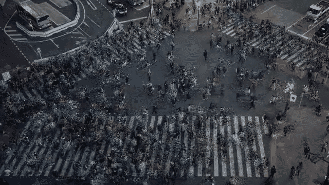 Optical Flow Particle