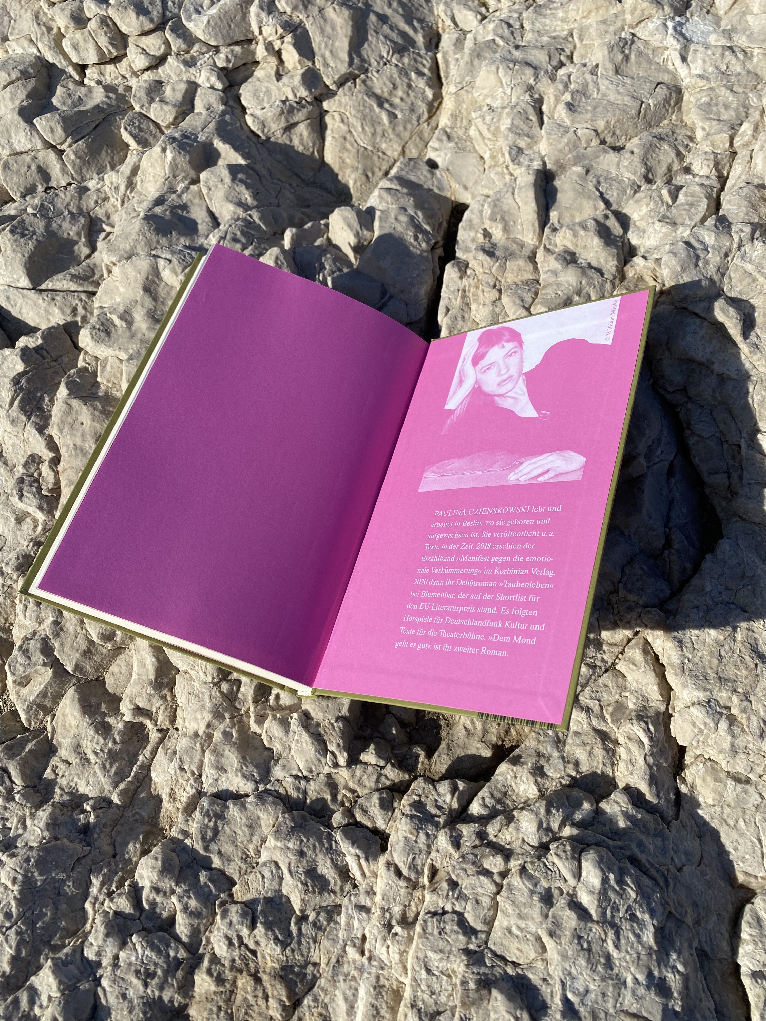 Book Cover Design for Paulina Czienskowski at Aufbau Verlag, 2024-25