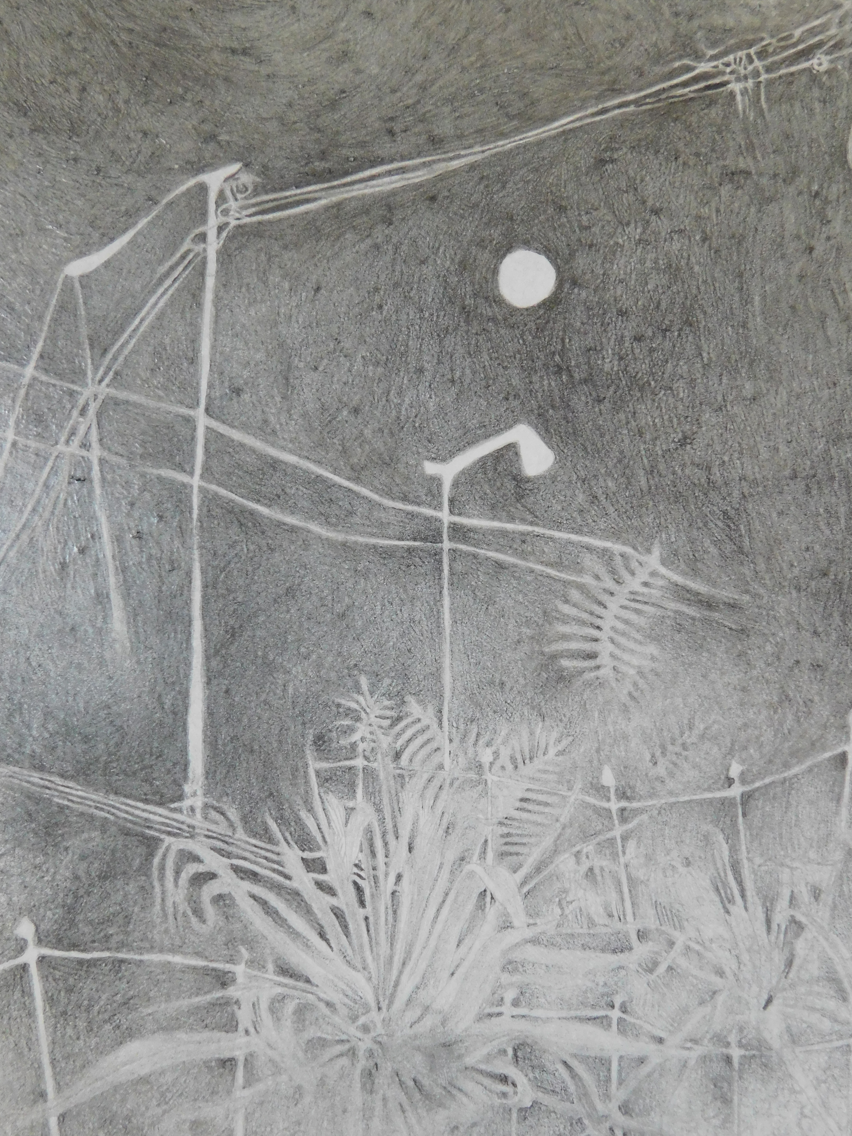 untitled | silverpoint on paper | 4.5 x 8 inches