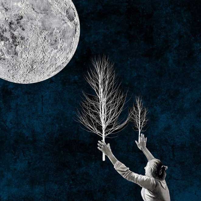 Regina Lafay Bellamy