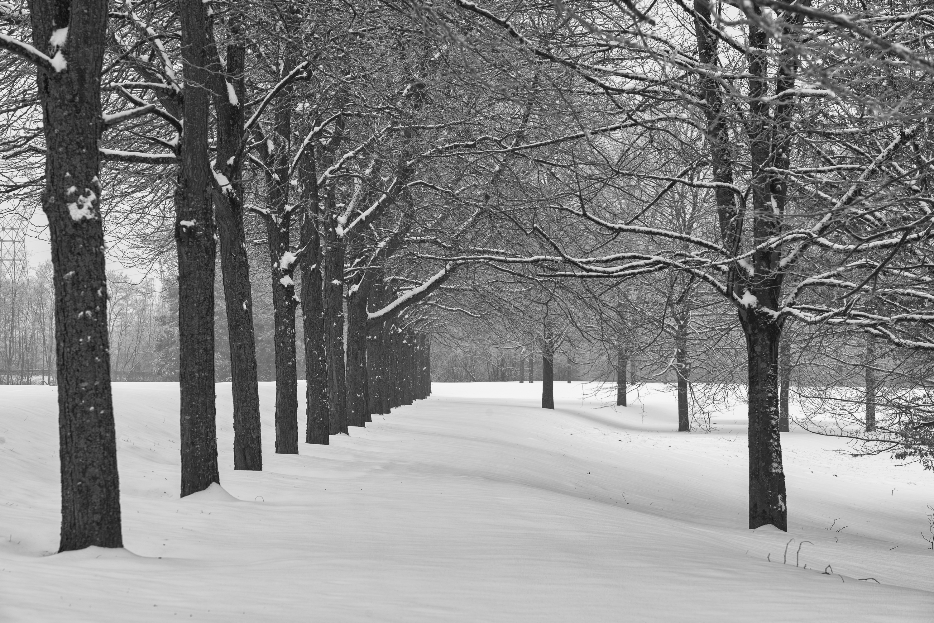 Les étangs de Brognard en hiver.