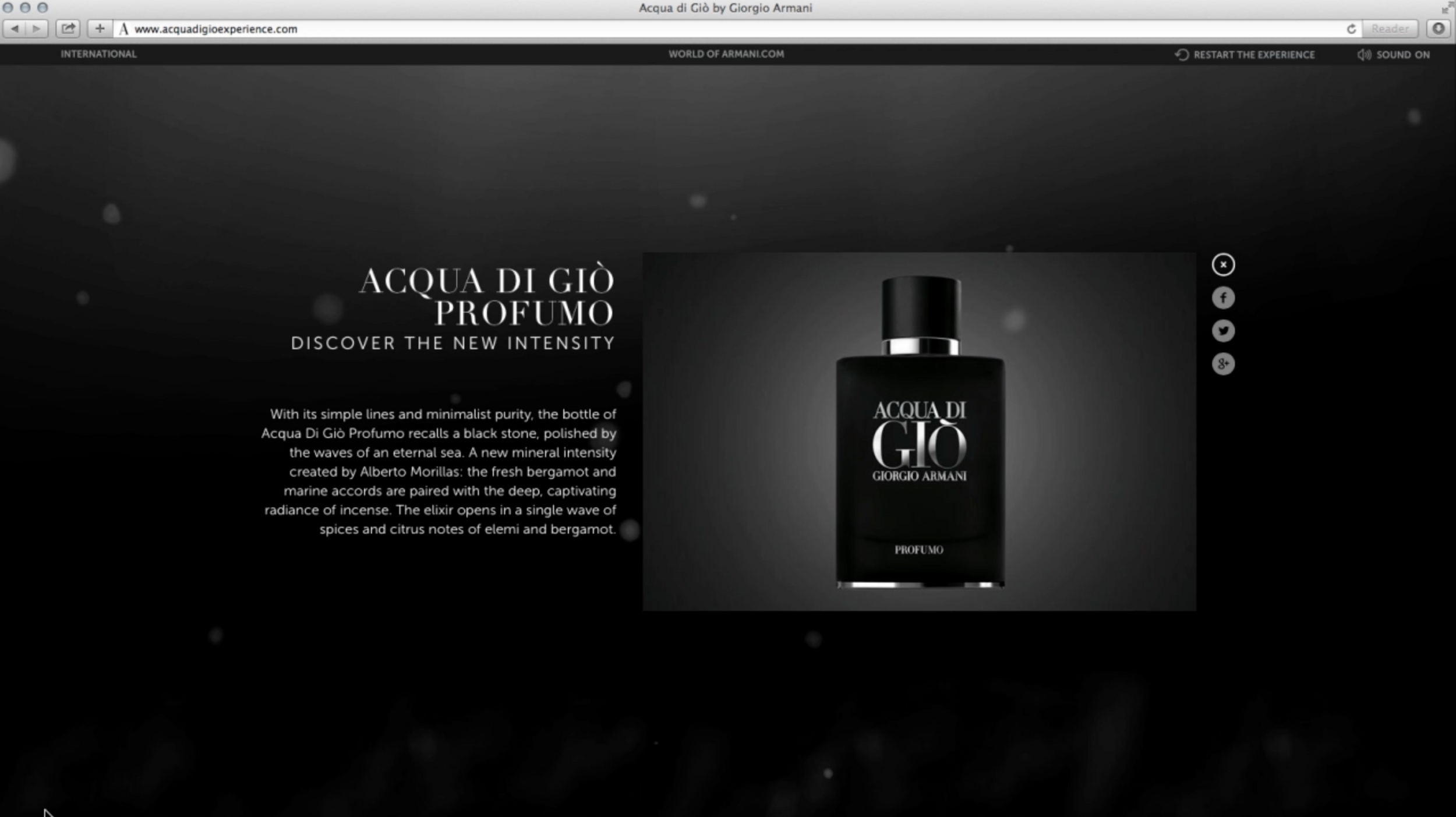 armani adg