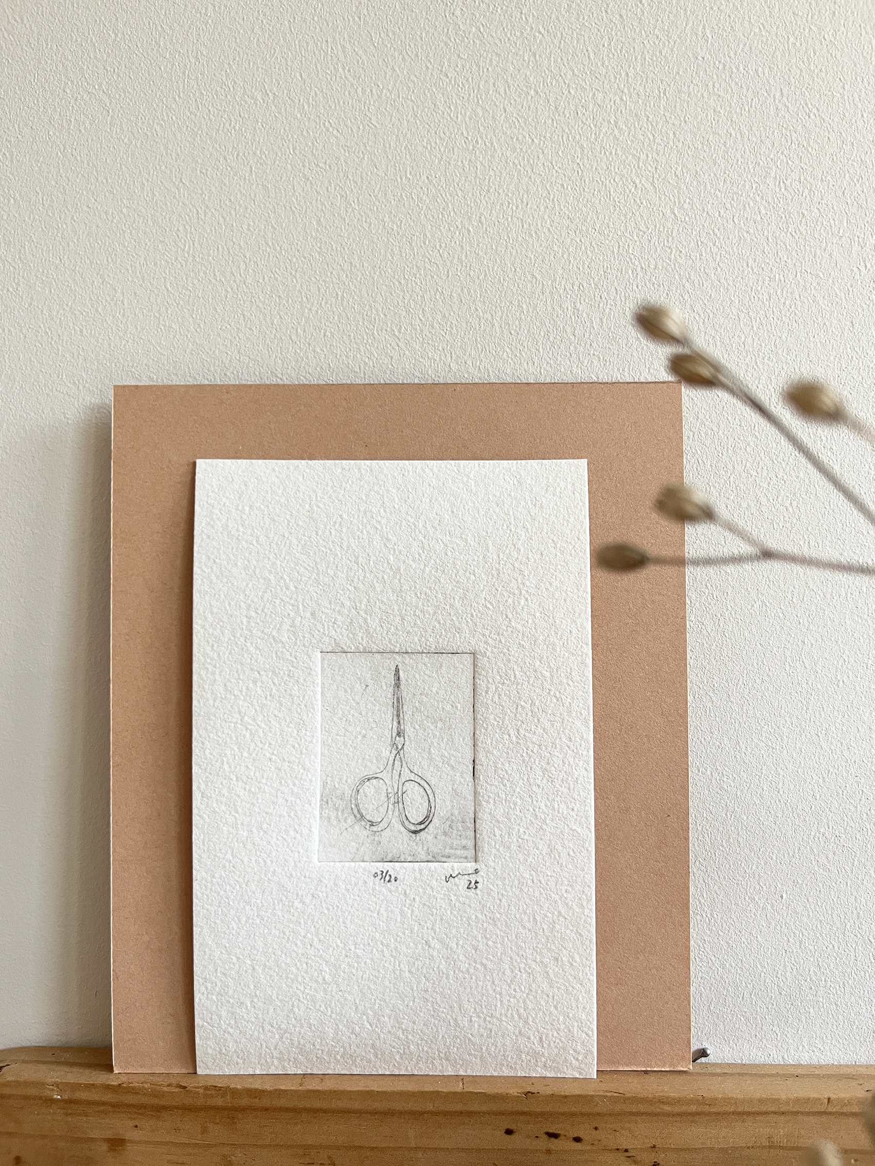 ets 'schaartje' / Vanessa - 30,-