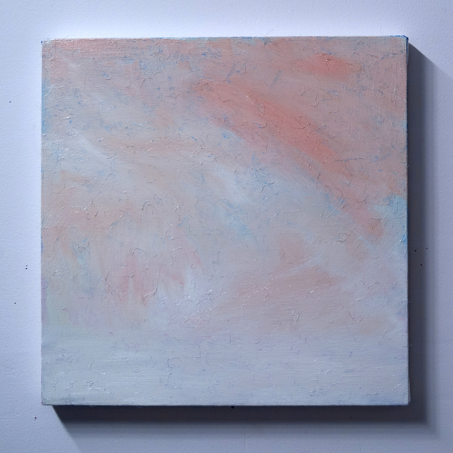 Distances / oil and pubic hair on canvas / 16 x 16 in / 2025