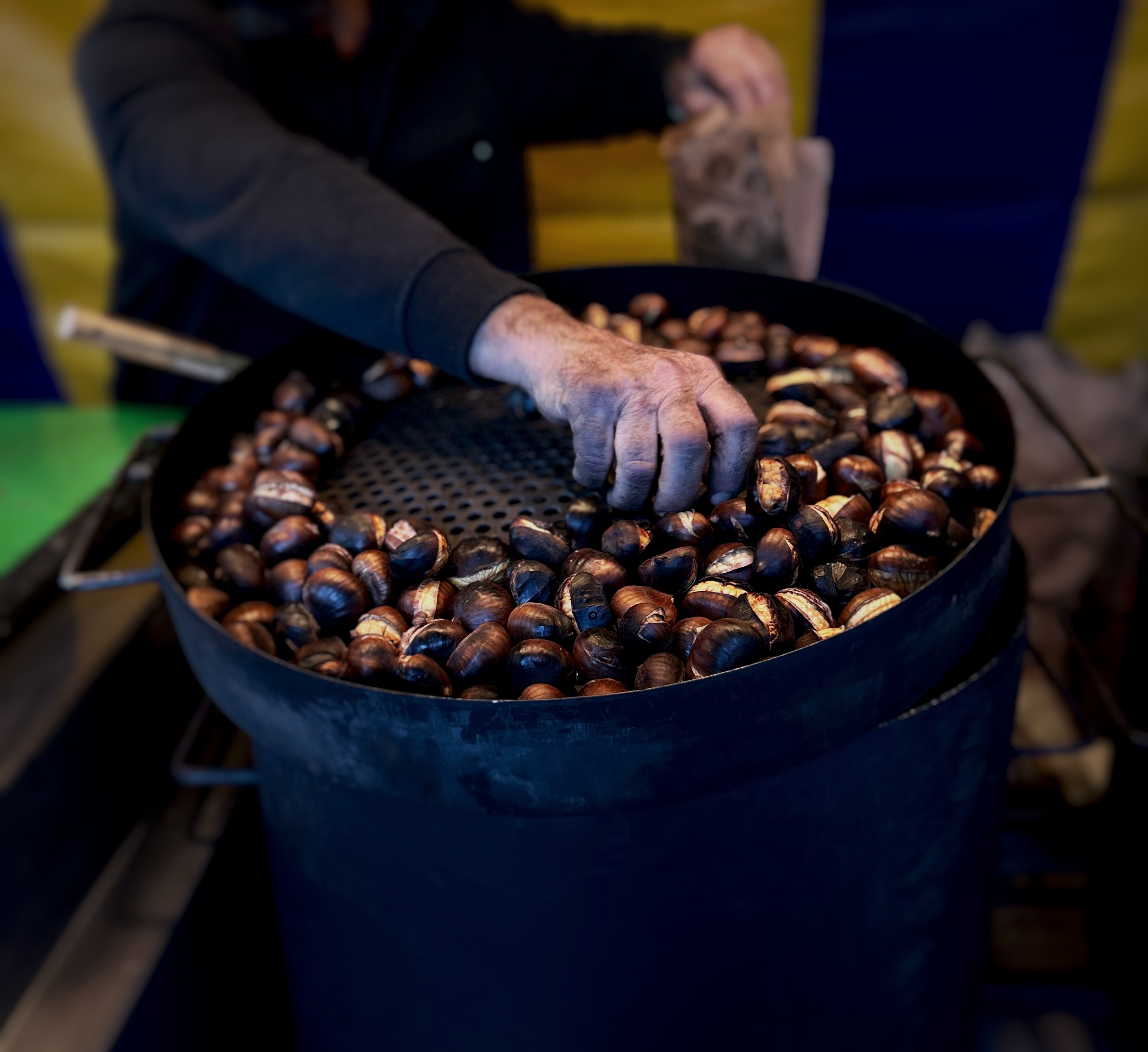 by Martina Thürlemann + Kyra Müller