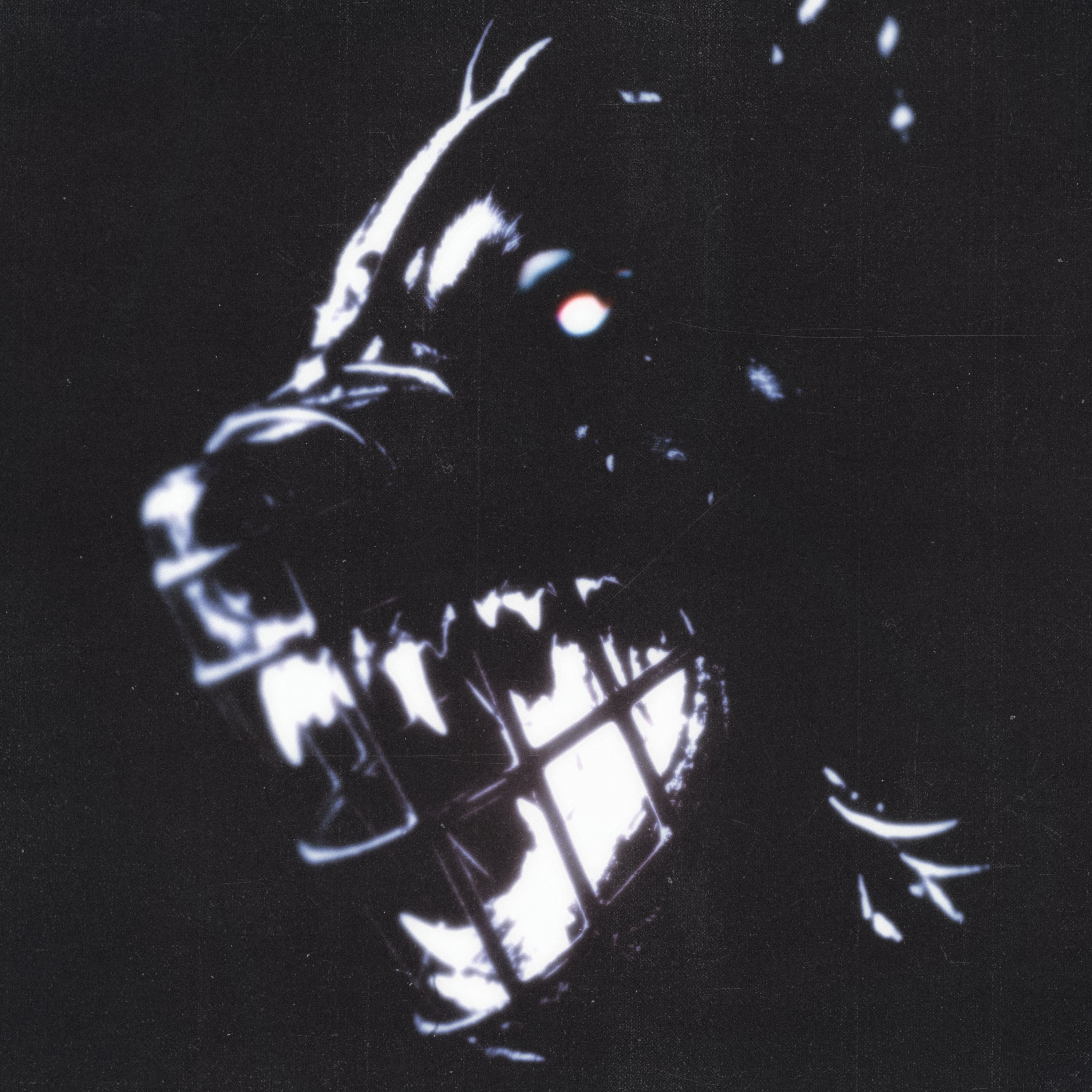 hiding in plain sight * 09.05.2025