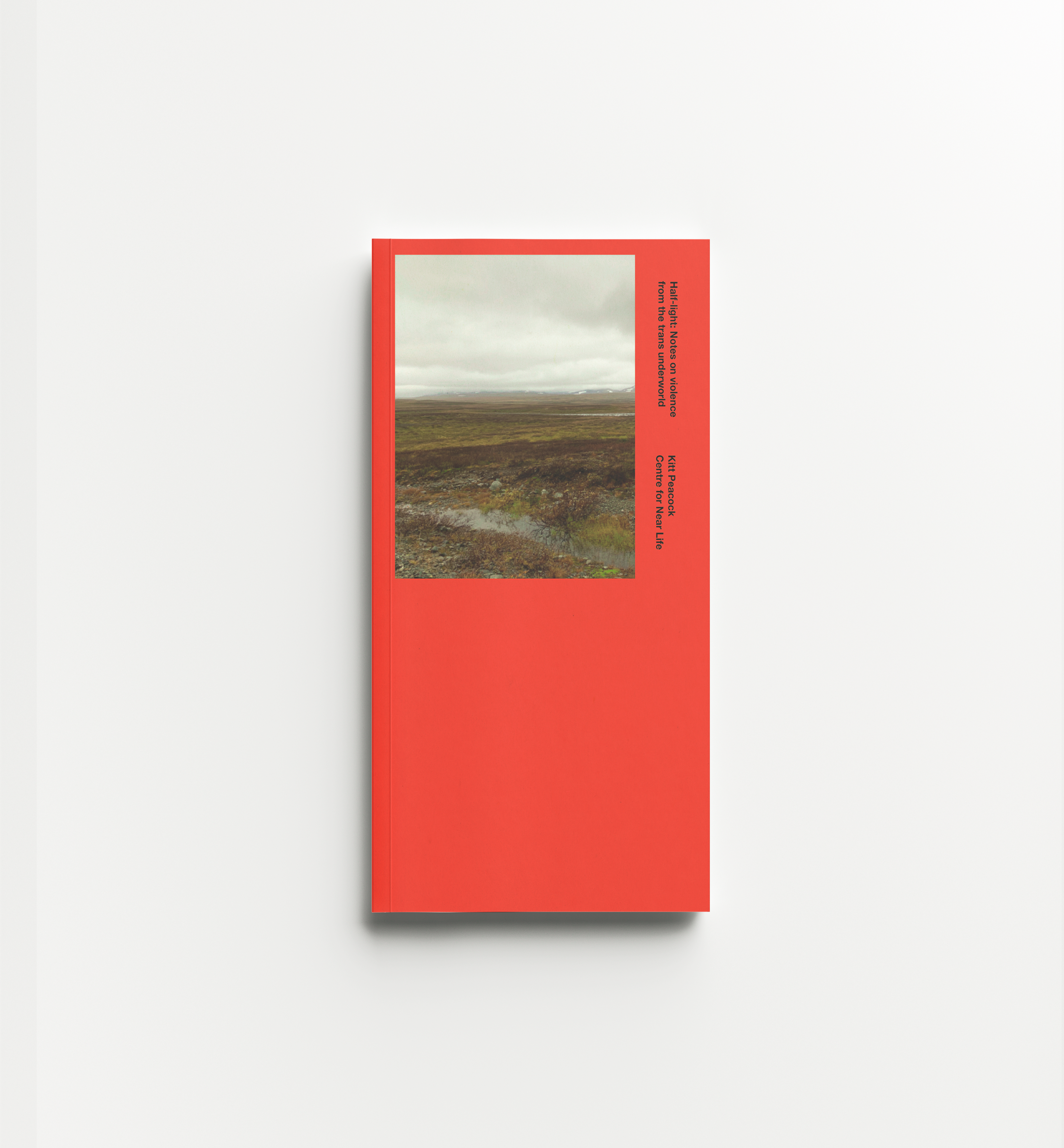 Half-light: Notes on Violence from the Trans Underworld (Vancouver: Crisis Editions), forthcoming 2025.