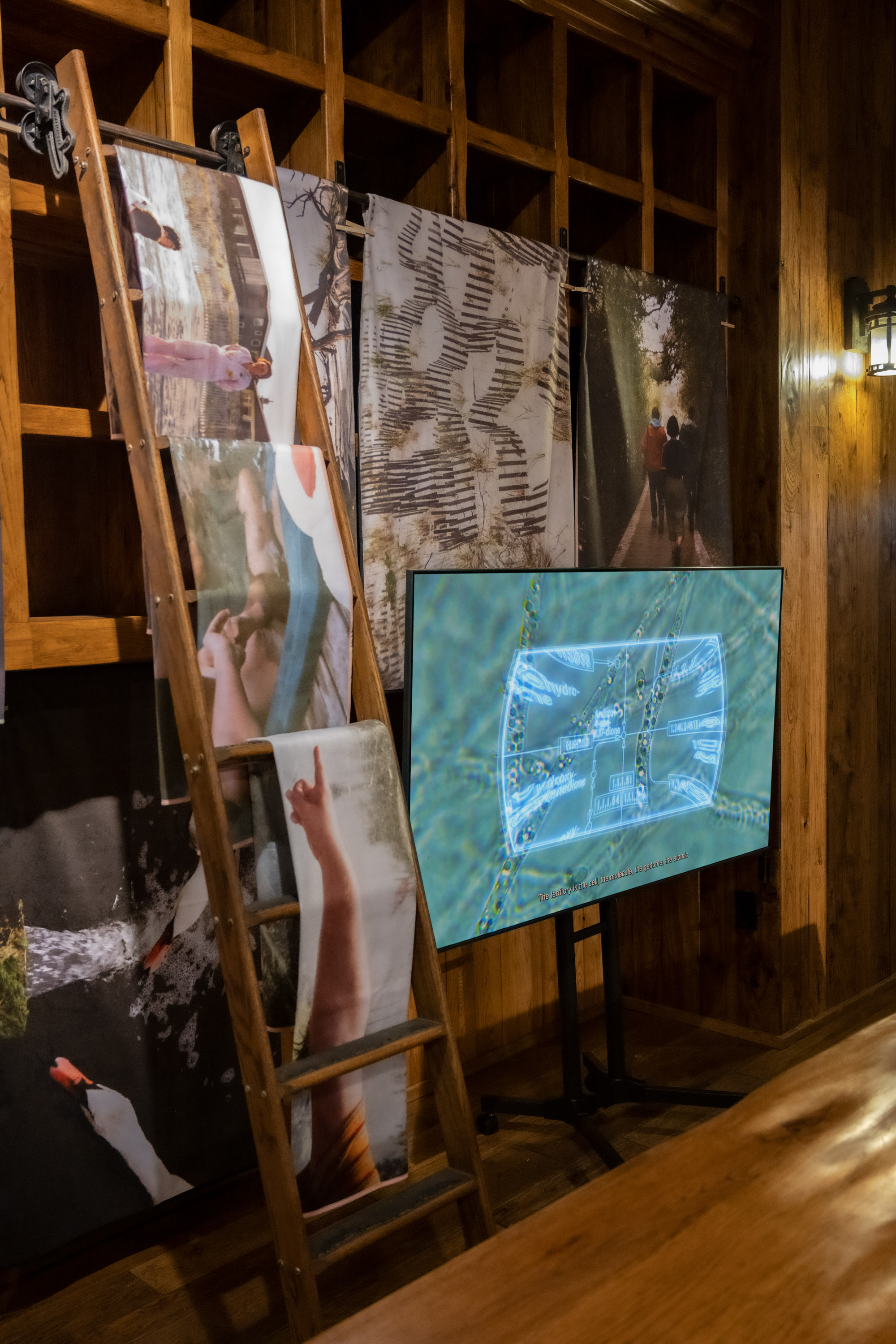 Installation view of “The Symbiotic Shore” a group exhibition curated by the Institute of Queer Ecology (2021). Photo by Lee Pivnik. Courtesy of the Institute of Queer Ecology, Bas Fisher Invitational and Bridge Initiative. A television screen is showing a microscopic view of plant life while beach towels depicting various film photographs are displayed alongside and behind it.