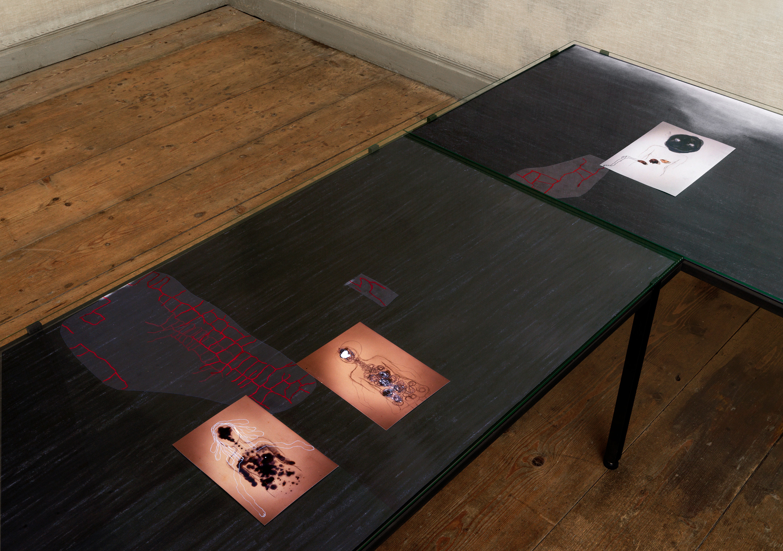 …daß dieser Mensch…, 2024 various dimensions  Installation view at Landhuis Oud Amelisweerd, Bunnik, 2024