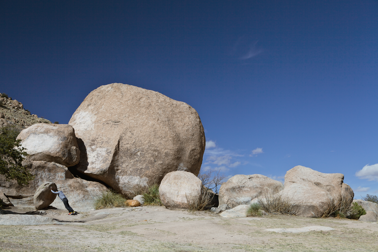 propped, photograph 2014