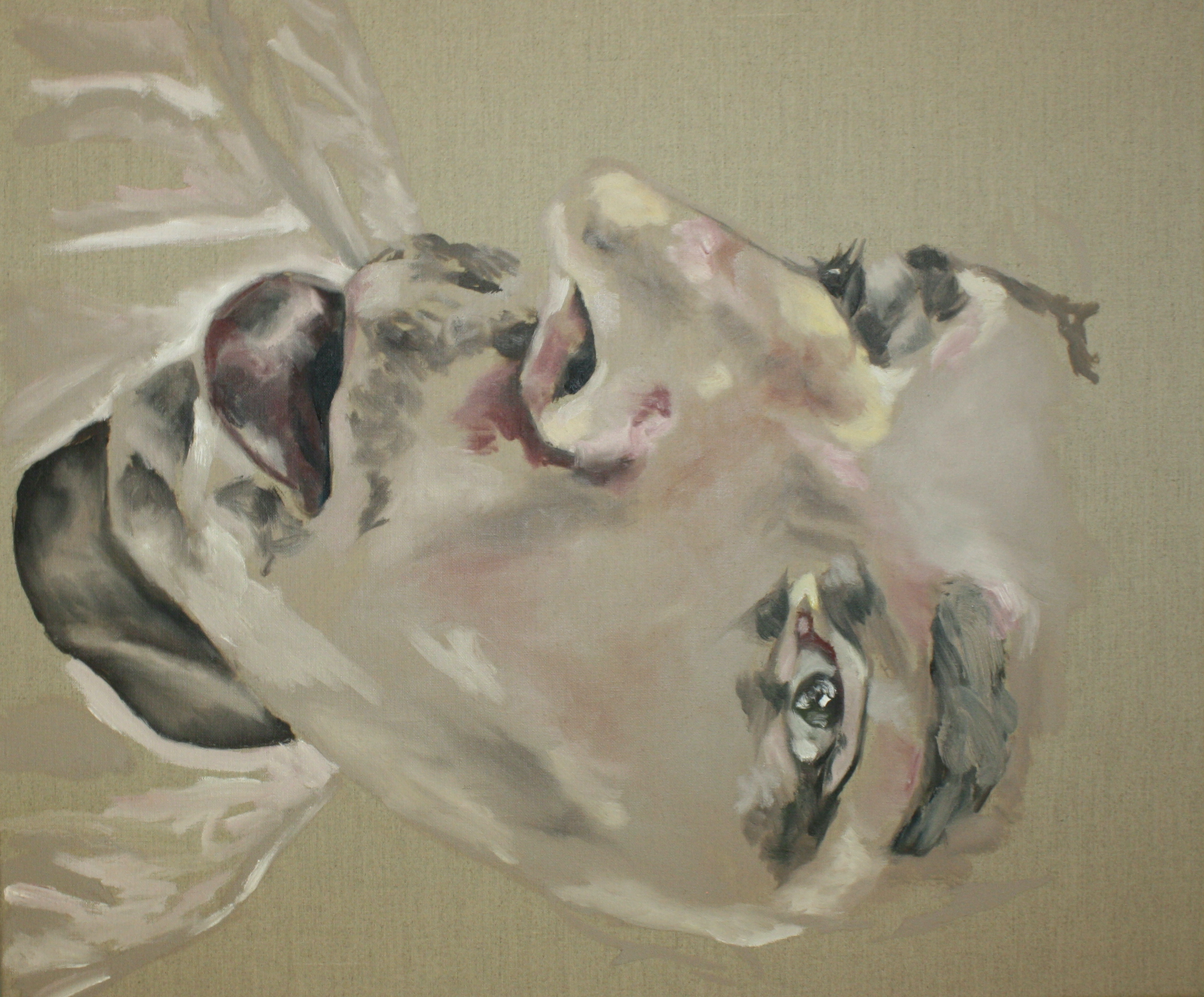 Untitled, Oil on linen, 60 x 50, 2022