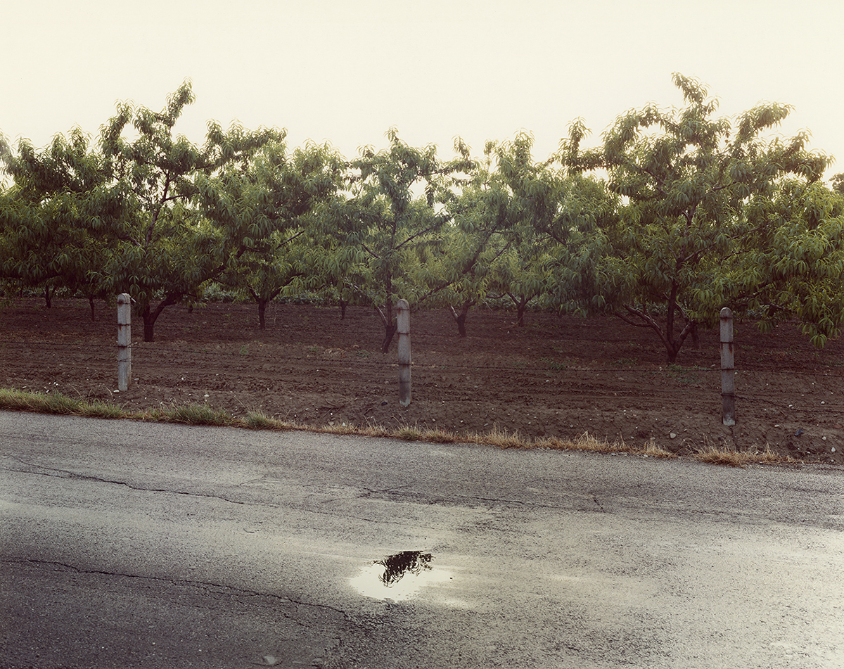 Guido Guidi via Ravennate, Cesena, 1985 Contact C-type print ©Guido Guidi