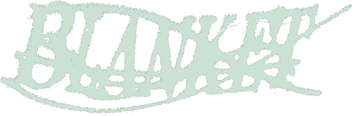 Kevin Abstract, Blanket Logo Design, 2023