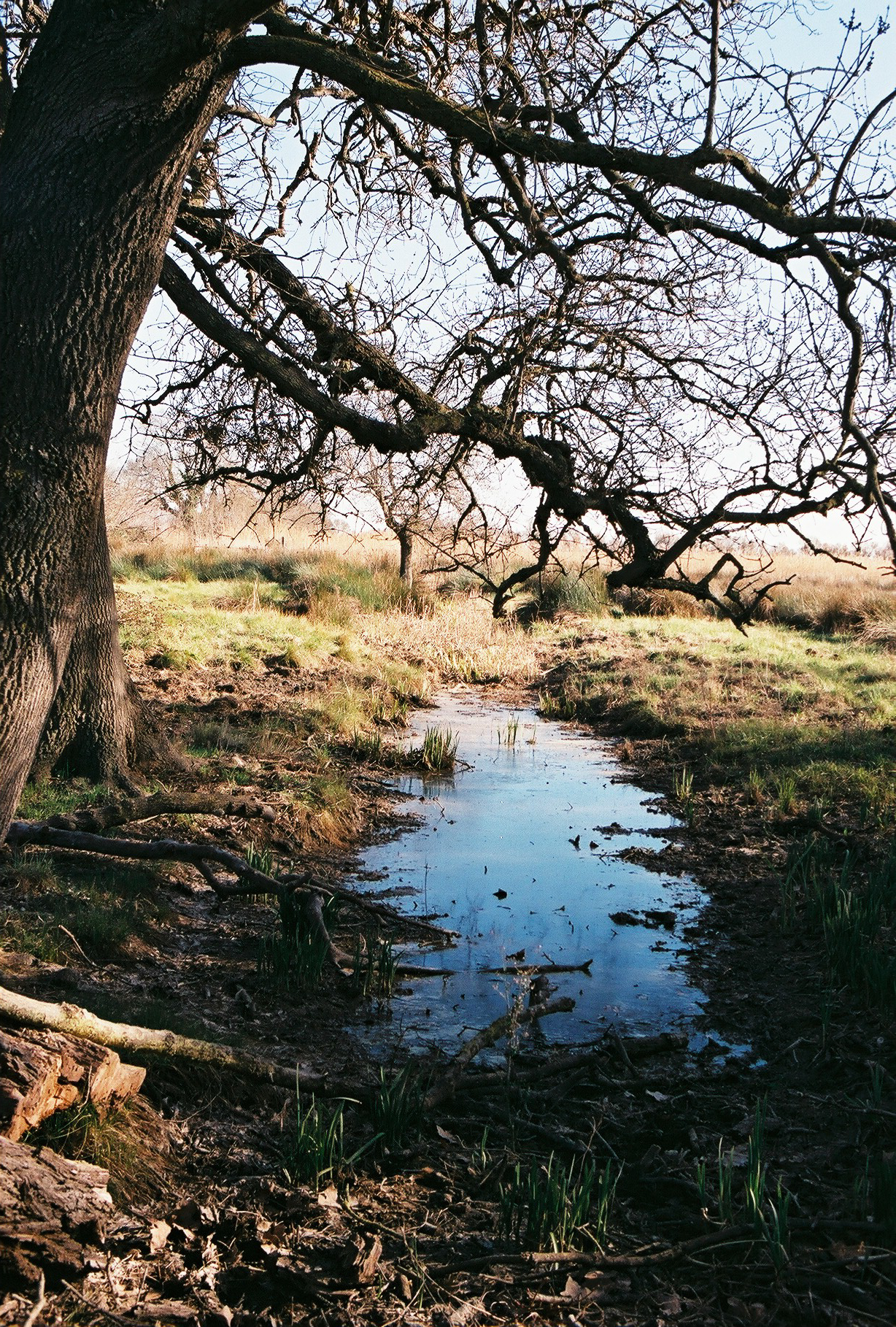 Lattes, France, 2019.