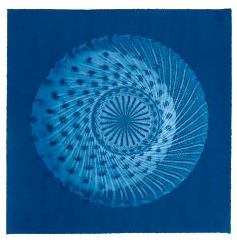 Crossings and Transpositions