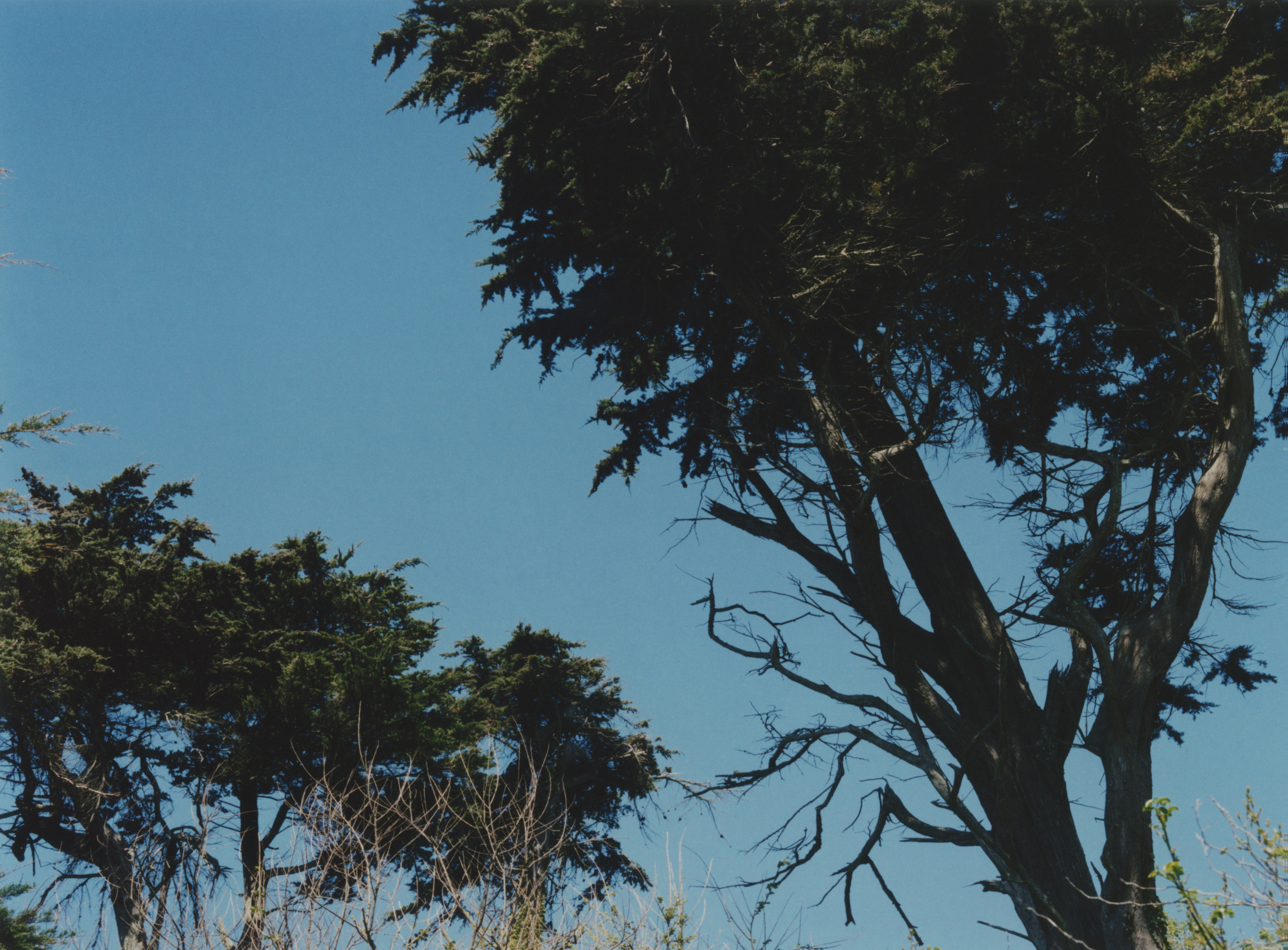 Cornwall, 2017. (1/11)