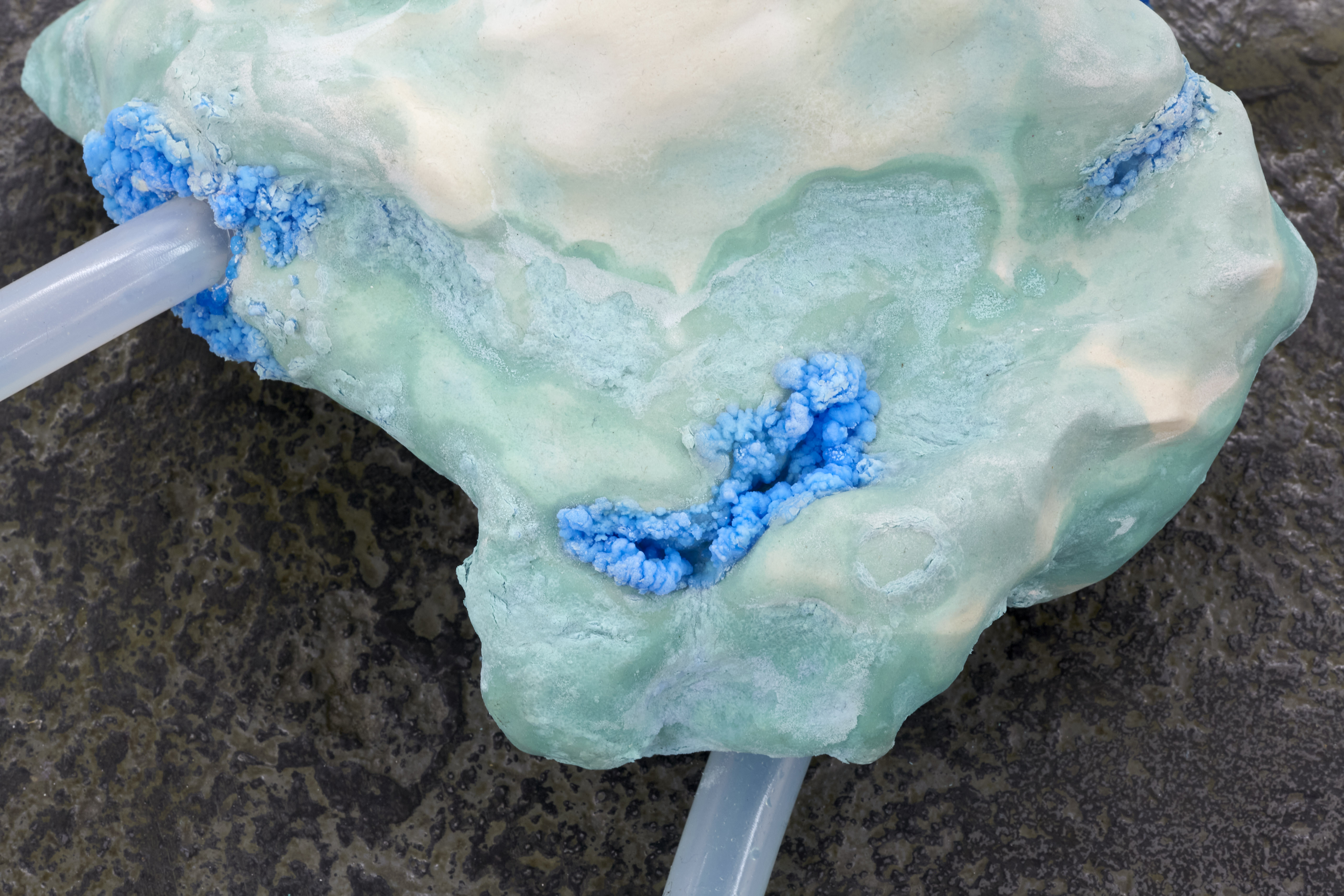 Chemical Vocabularies, 2021, [various dimensions], Protean Fluid, Gossamer Fog Gallery, London  Mycelium, copper sulphate, bisque fired ceramic growing crystals, peristaltic pump, aluminium  armature wire, steel, silicone tube, various cable ties and electrical wire 