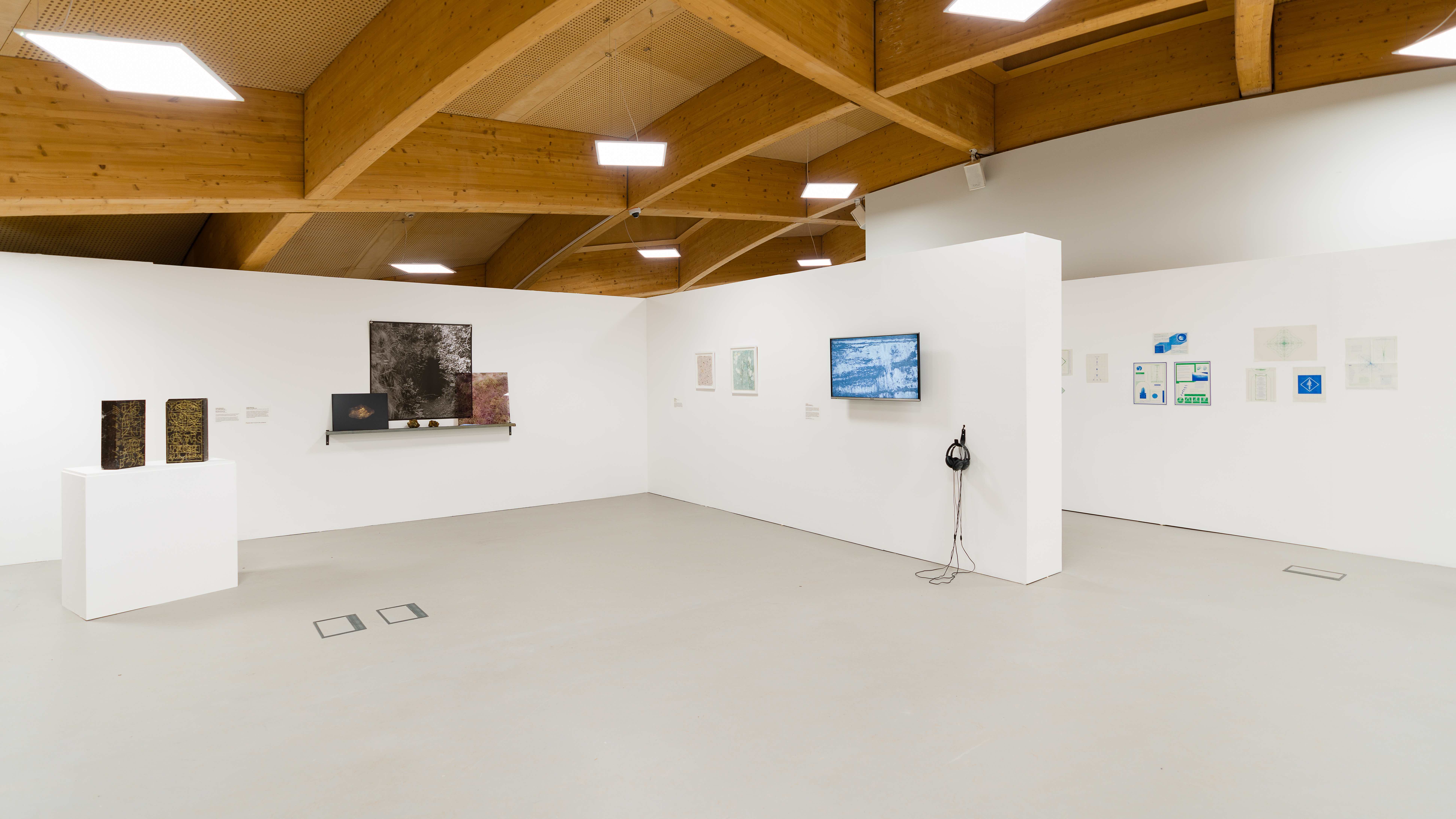 Left to right, works by Jonathan Michael Ray, Ben Sanderson, Laura Hopes and Phyllida Bluemel