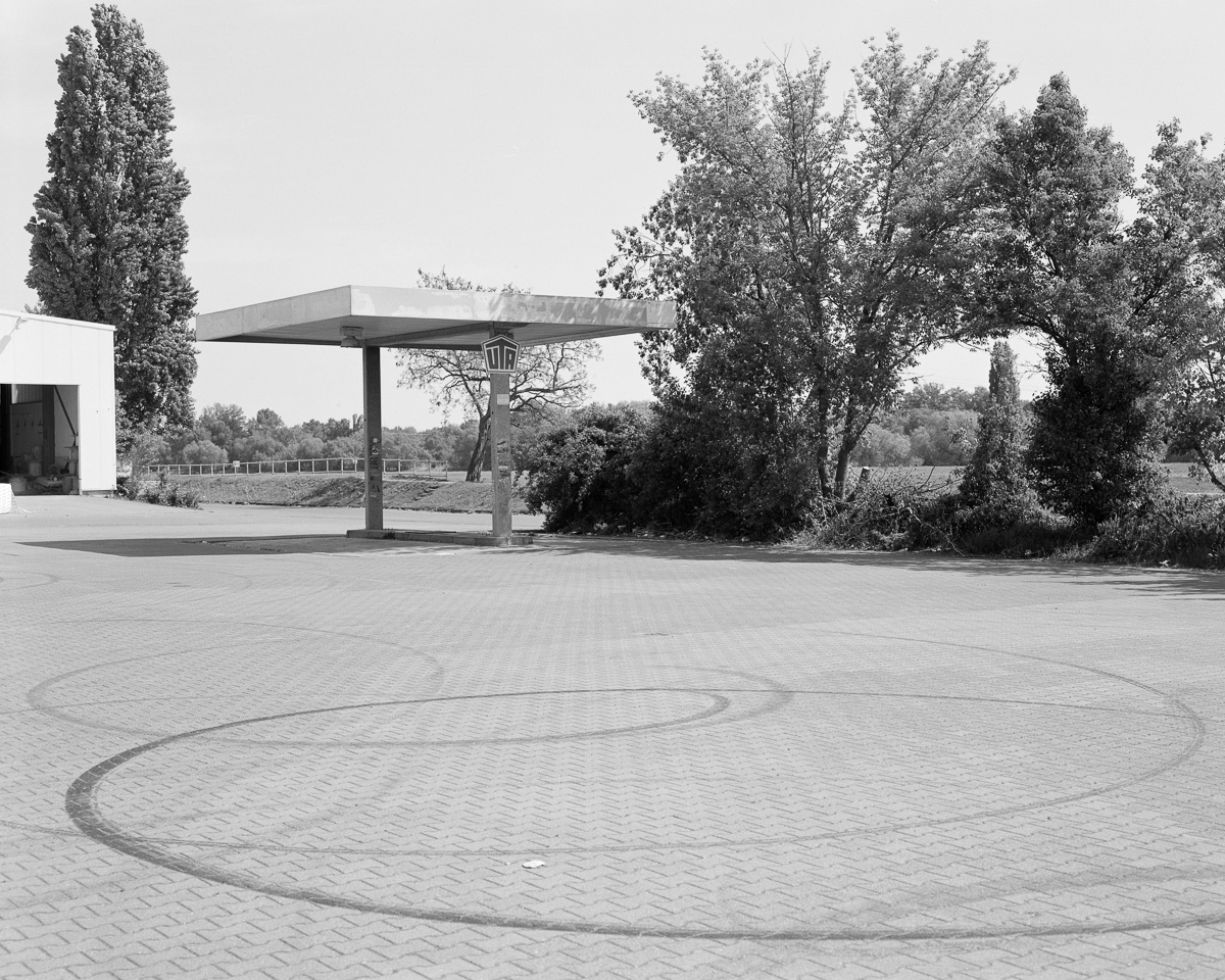 Elbe River (2024 - ongoing)