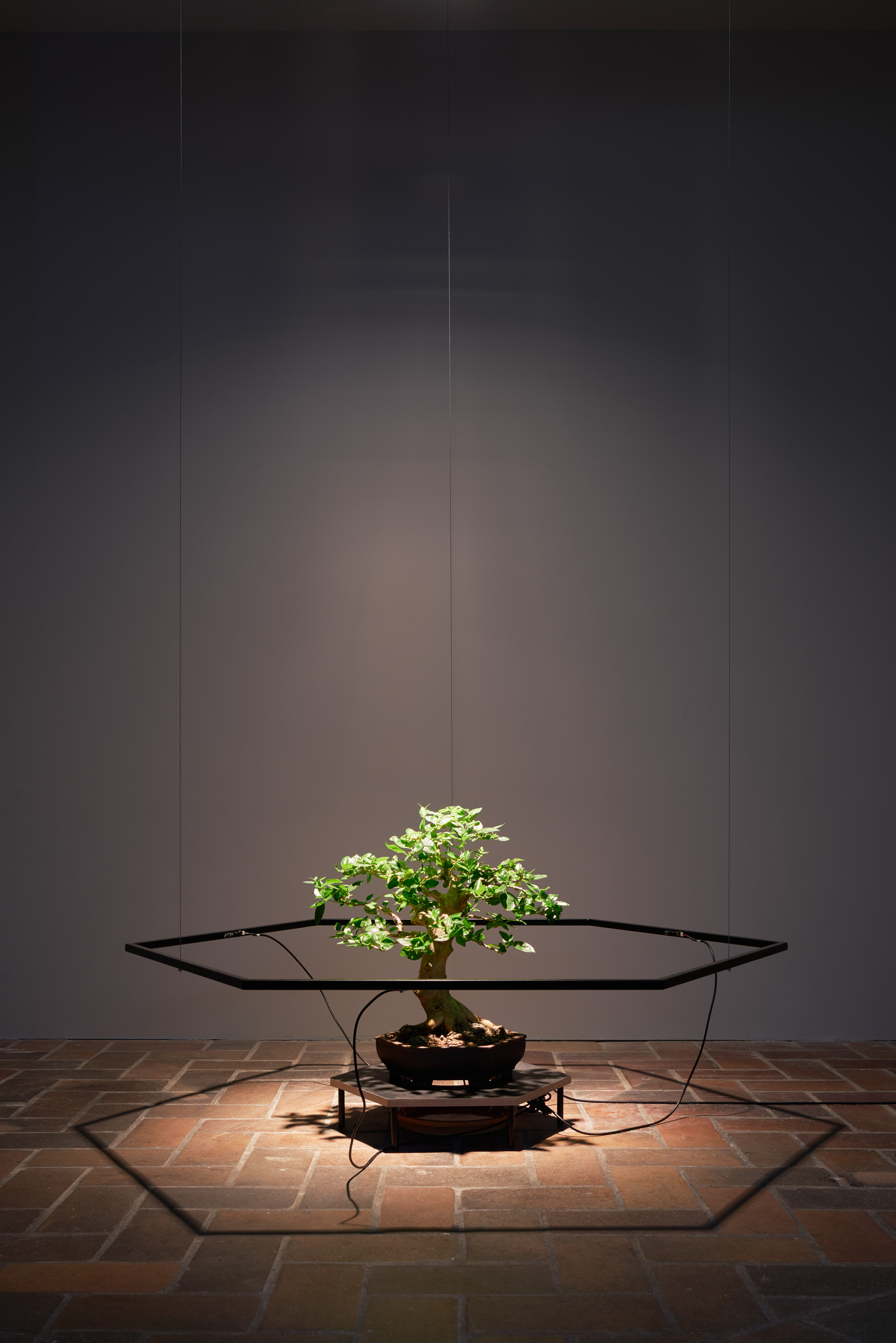 Premnadaemon @ Schinkel Pavillon Berlin. Kunde: Paul Kolling / terra0.