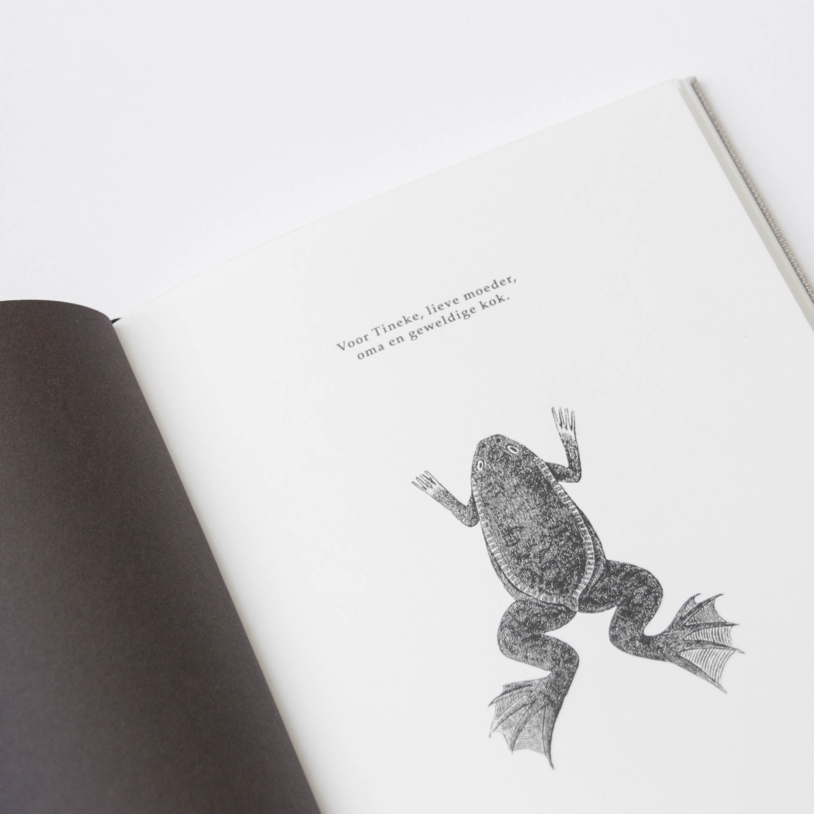 Kookboek ∙ Illustratie