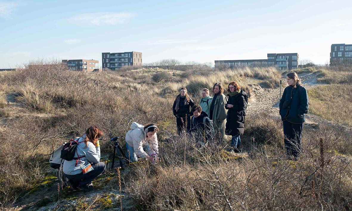 Listening Lichen workshop