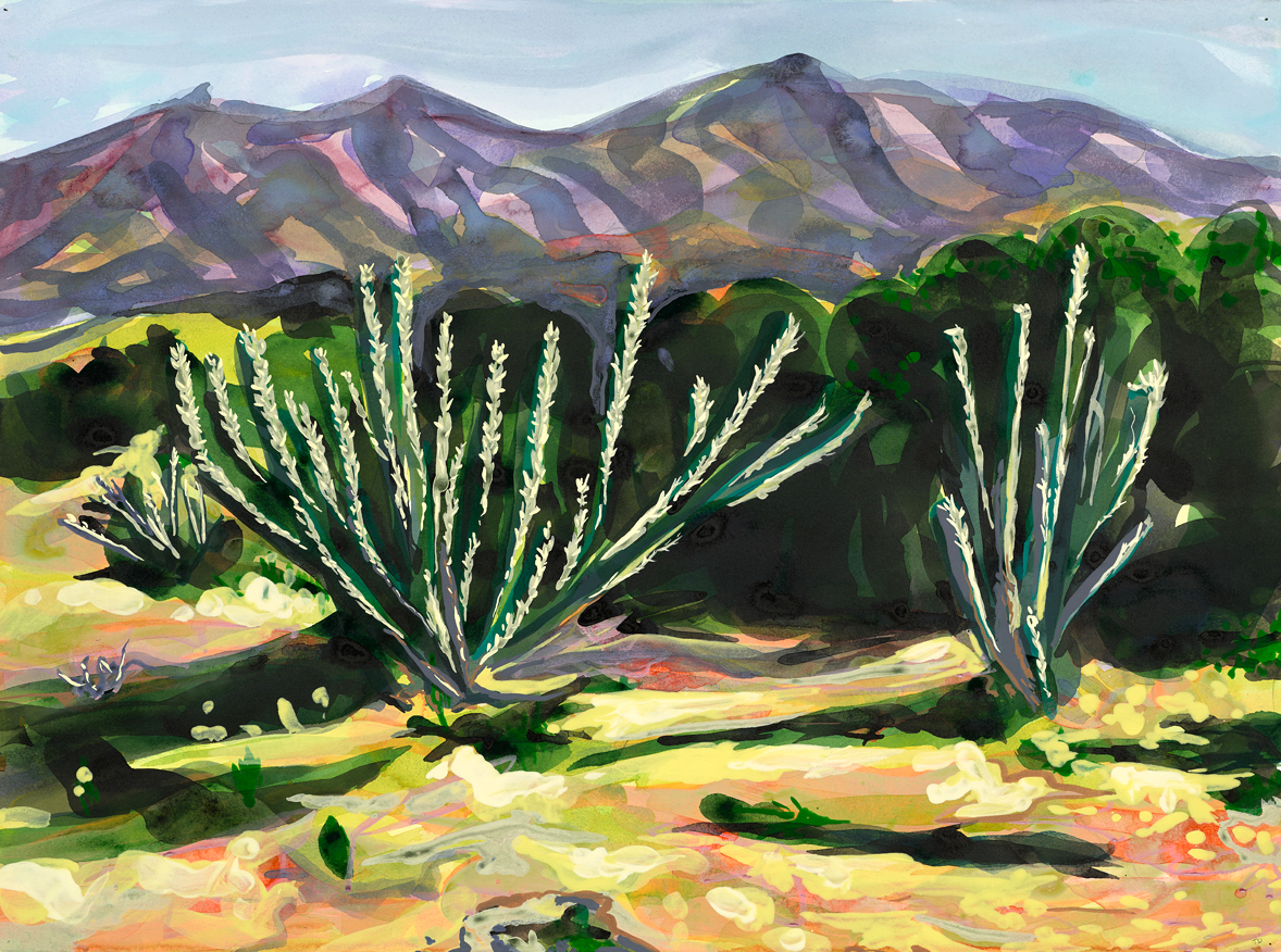 Near Marfa  / 25 x 33 in.  /  mixed media on paper / 2016