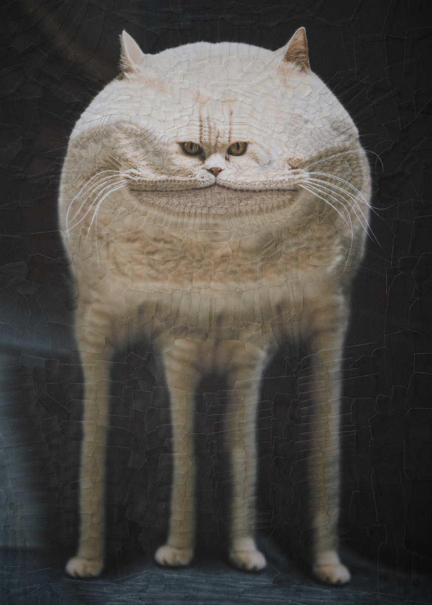 Fluffy, 2021, 8.2 x 11.6 inches