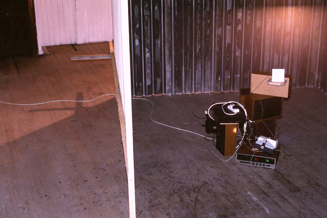 Sweeney, solo Installation at Catalyst Gallery, Belfast, wood, stuffed sparrow