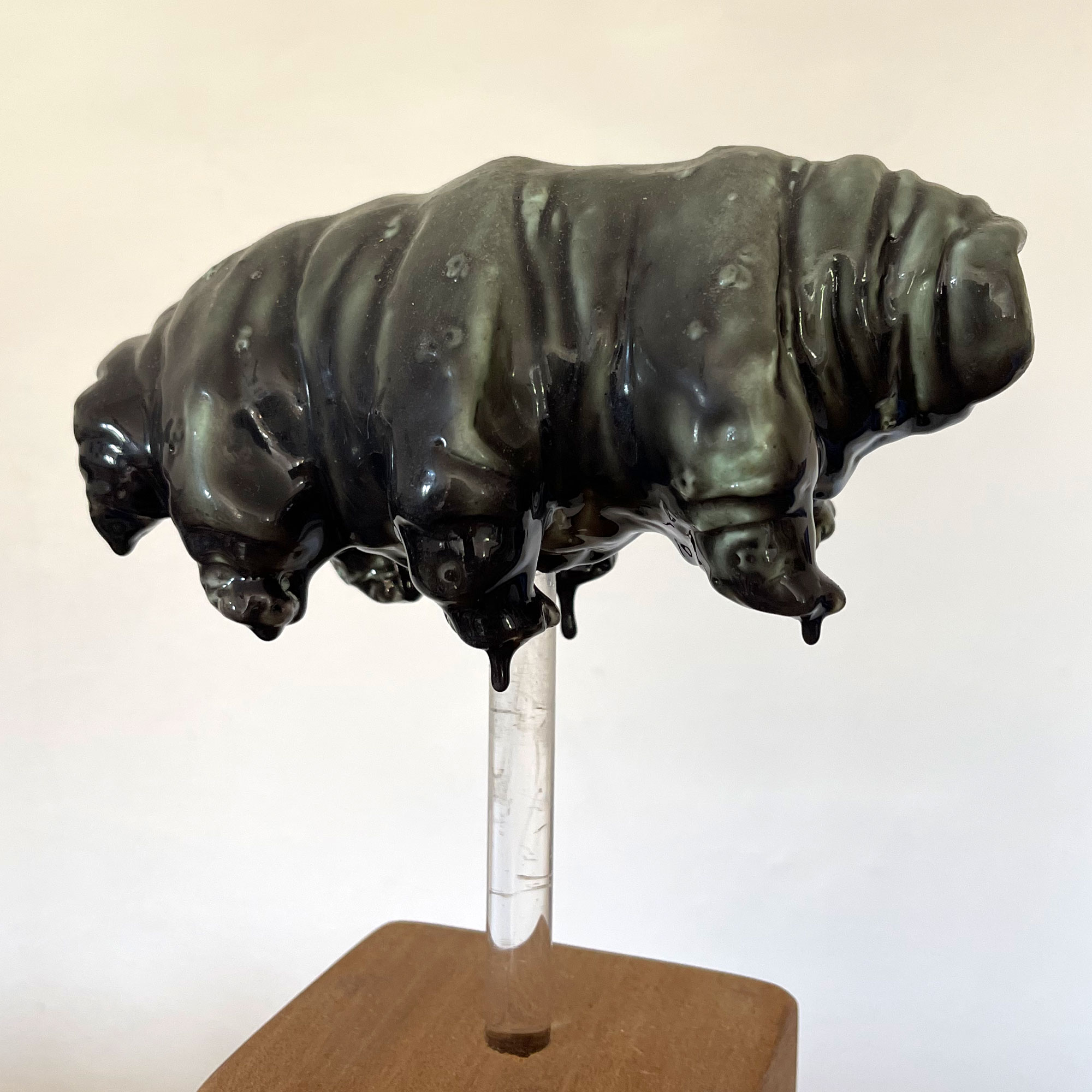Swamp Tardy, jesmonite, glass wax, wood, perspex, 24.5 x 17 x 9 cm