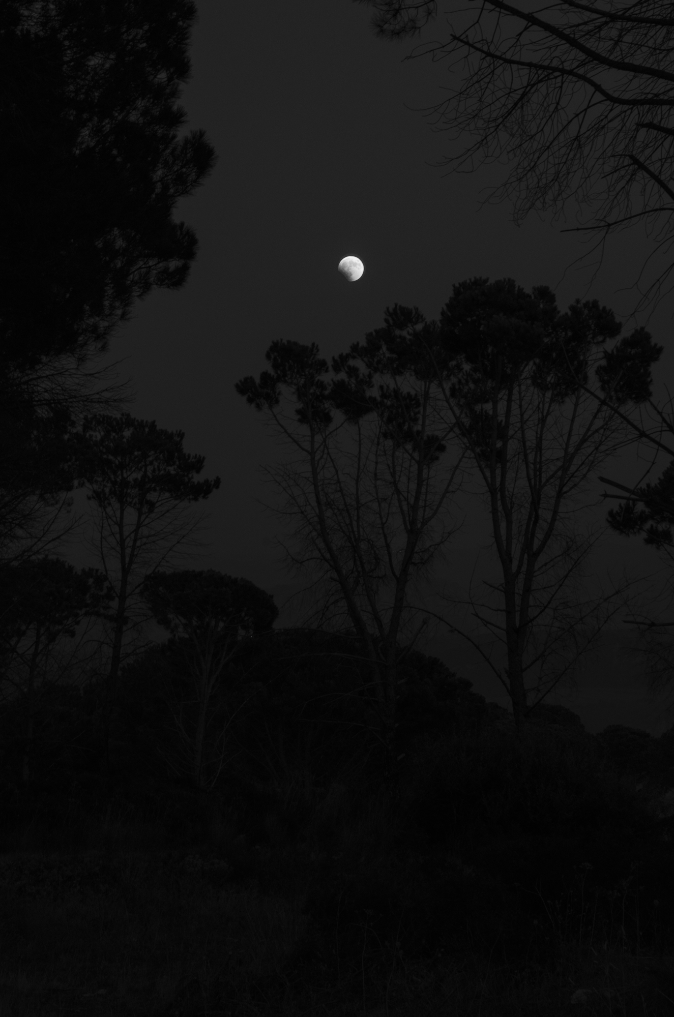 Lunar eclipse, Cerenzia, Calabria, July 2018.