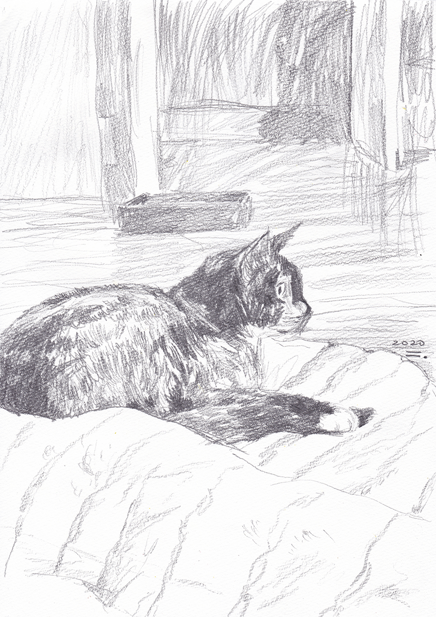 TV보는 바기라, 2020, pencil on paper, 27.9*21(cm)