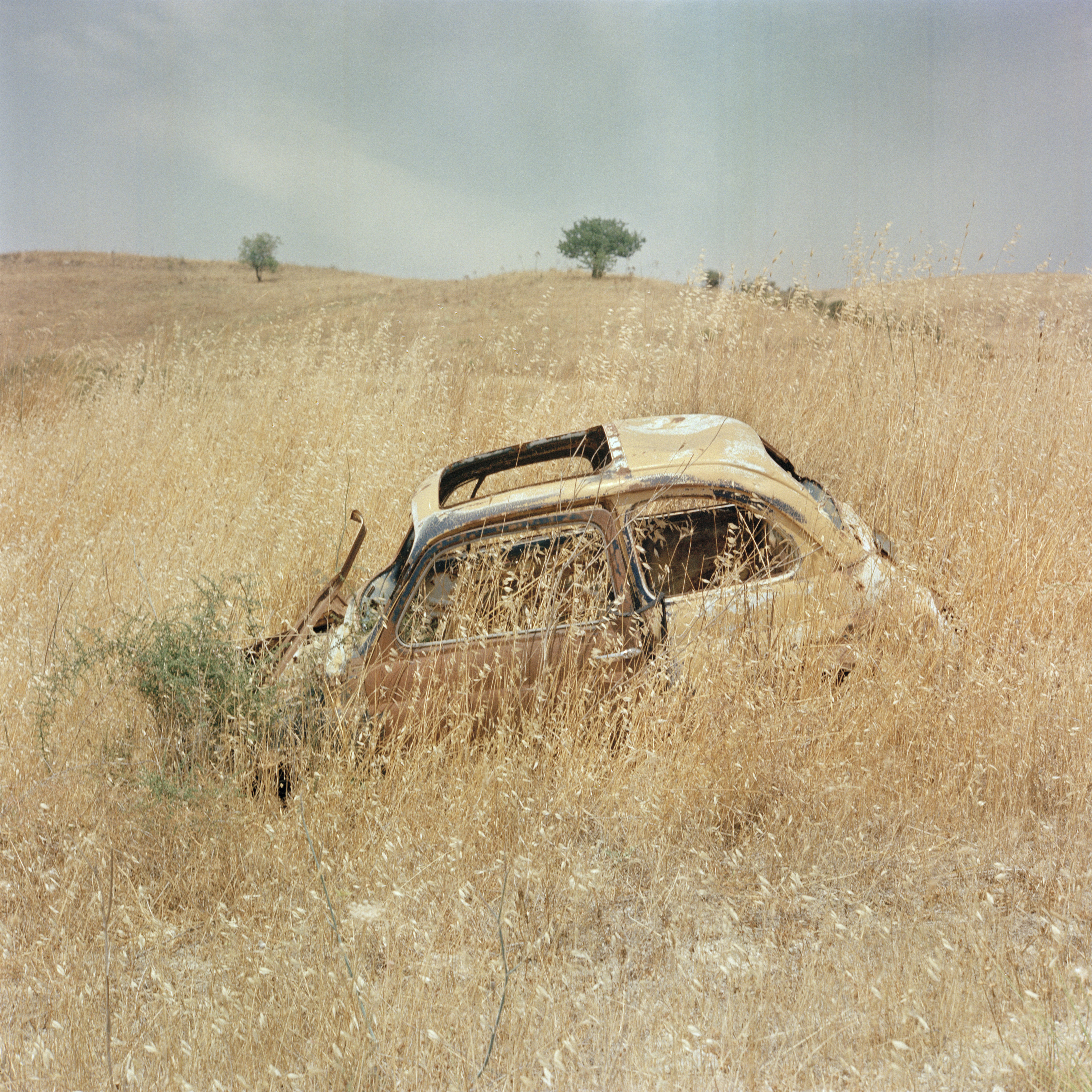 Fiat 500 - Caltanissetta (Sicily) 2012