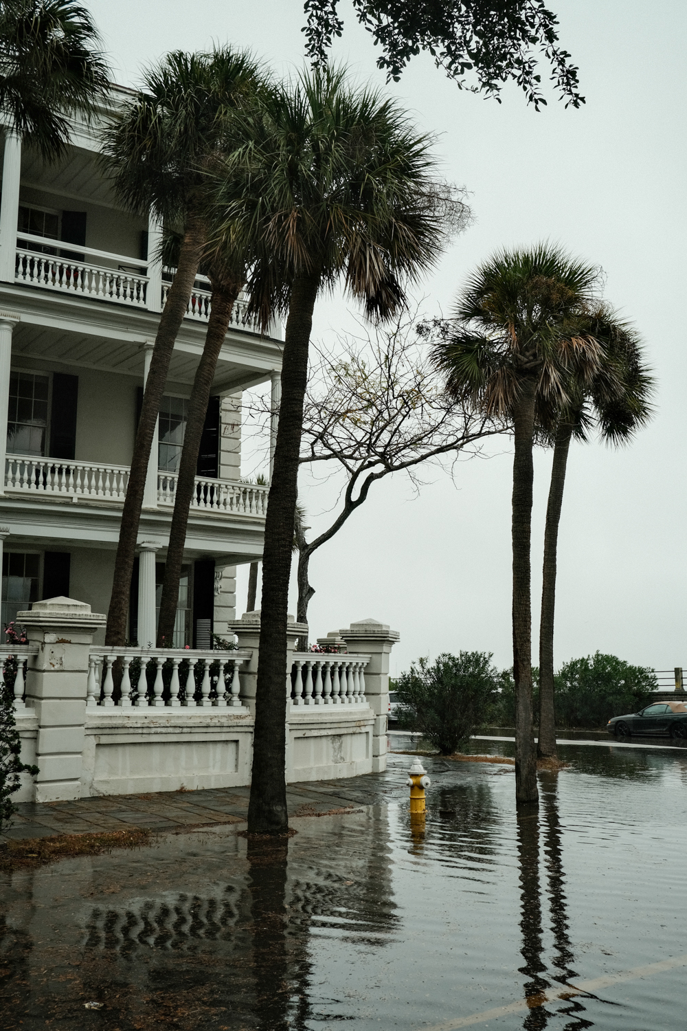 Tidal flooding on E Battery St, November 2022